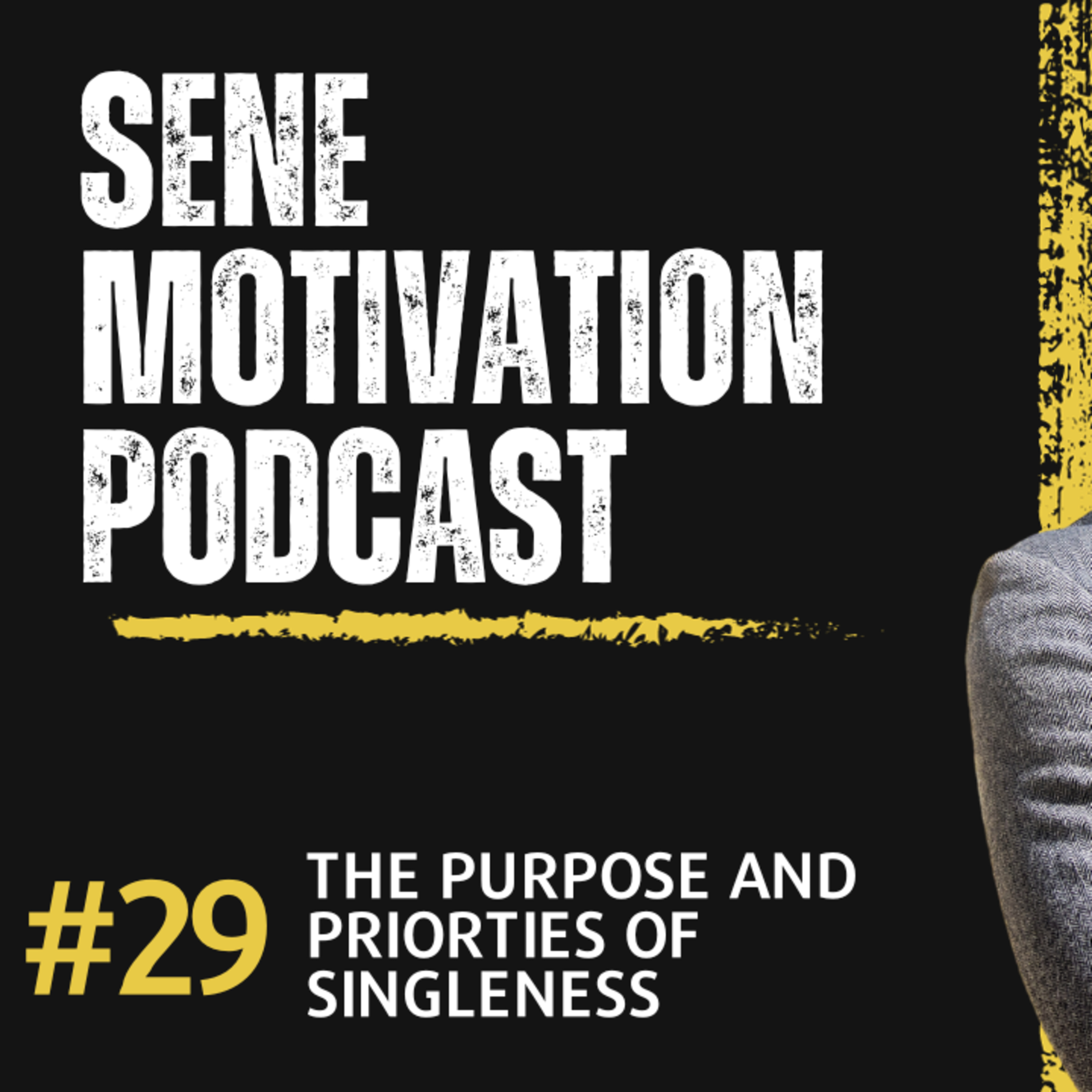 the purpose and priorities of singleness