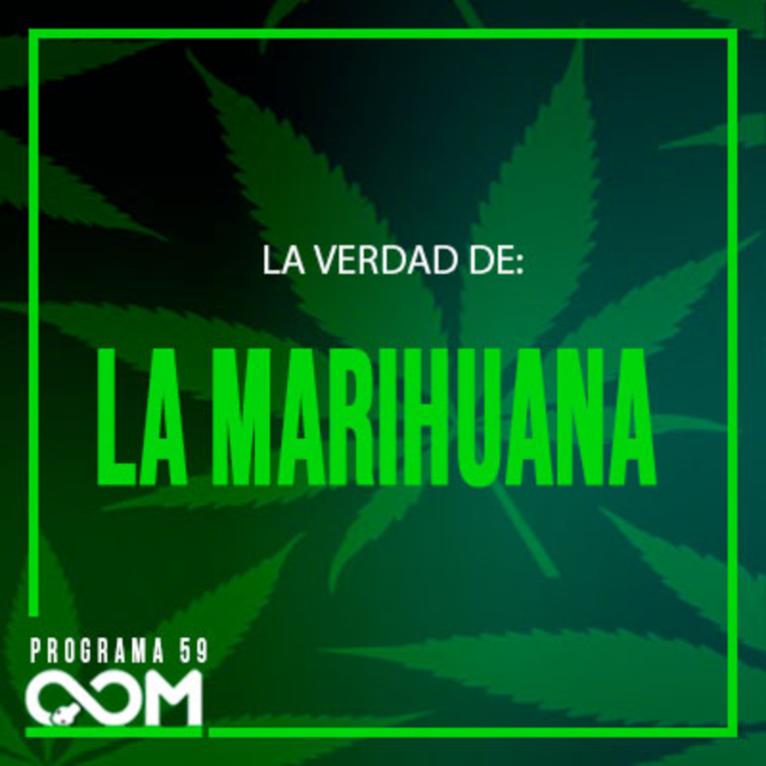 La Verdad de la Marihuana | P60 |