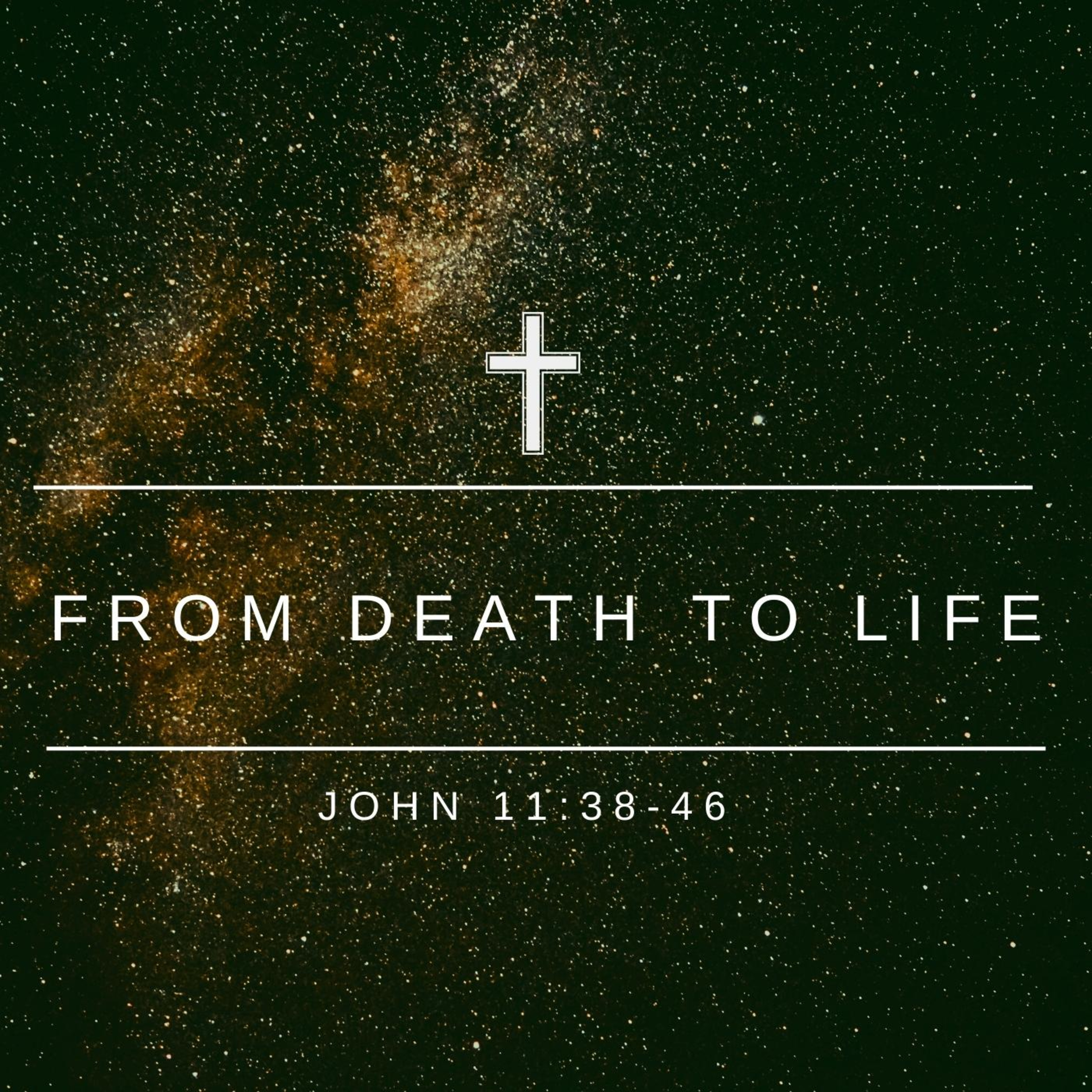 From Death to Life - John 11:38-46 episode artwork