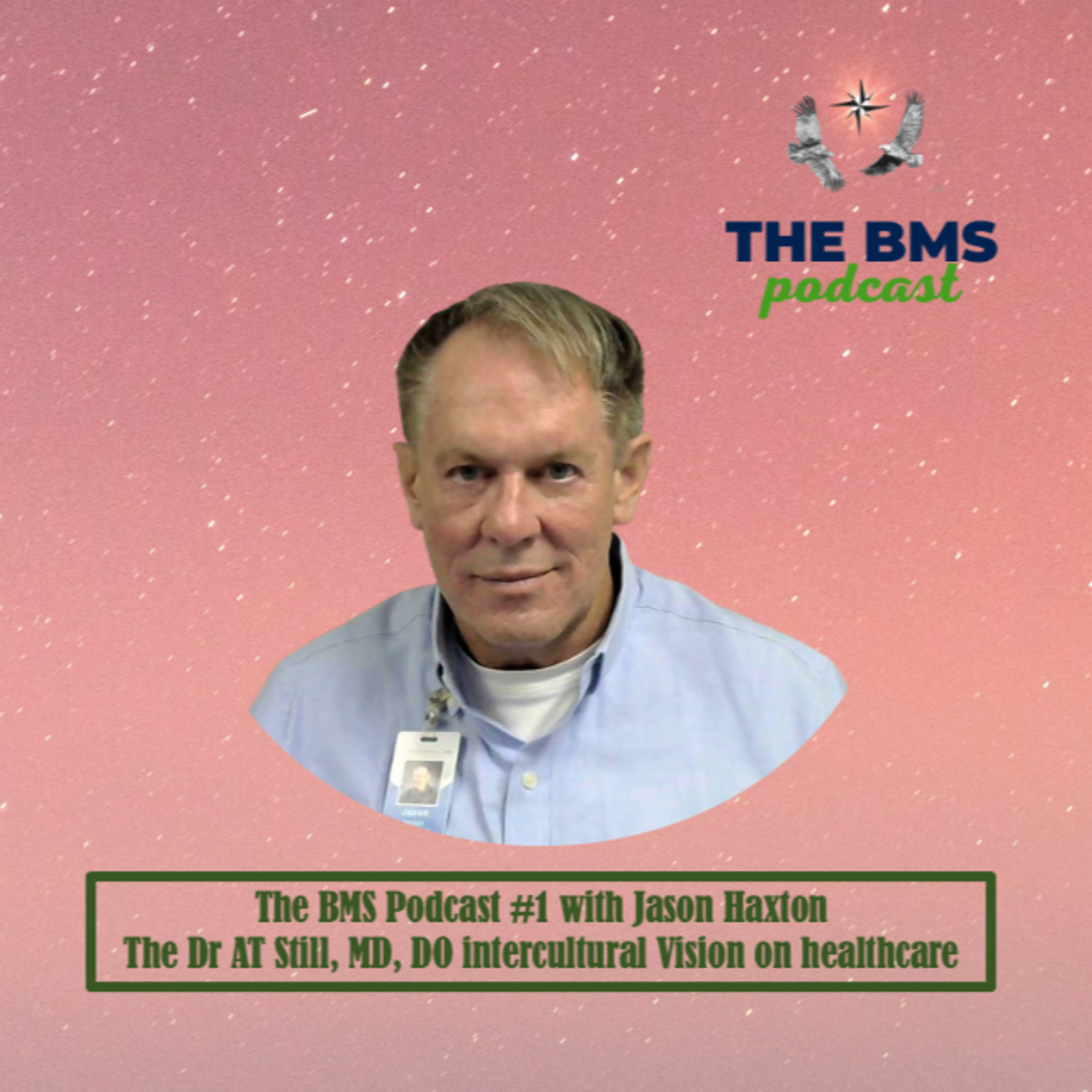 The BMS Podcast | Integrative & Evidence-Informed Healthcare 🌎