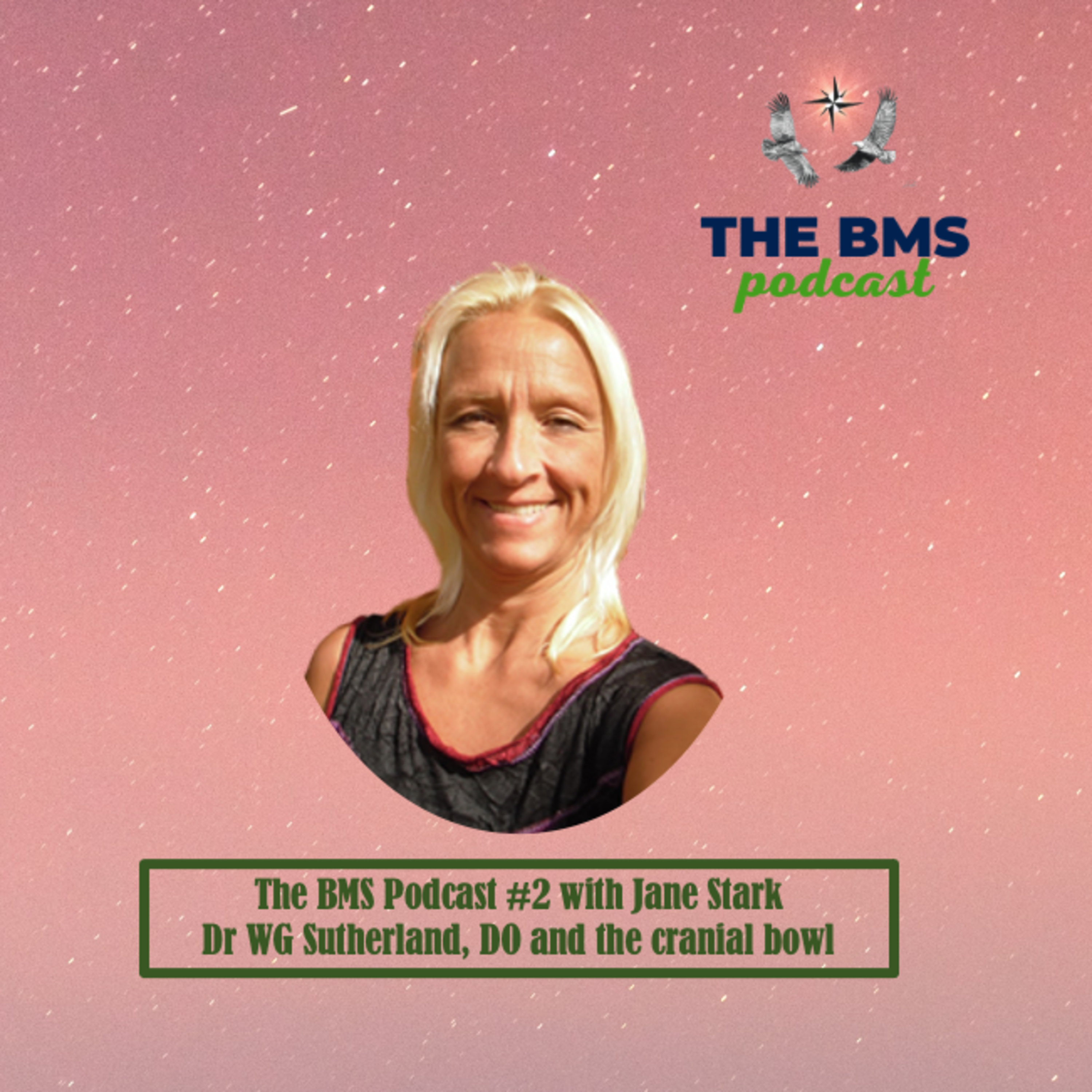 The BMS Podcast | Integrative & Evidence-Informed Healthcare 🌎