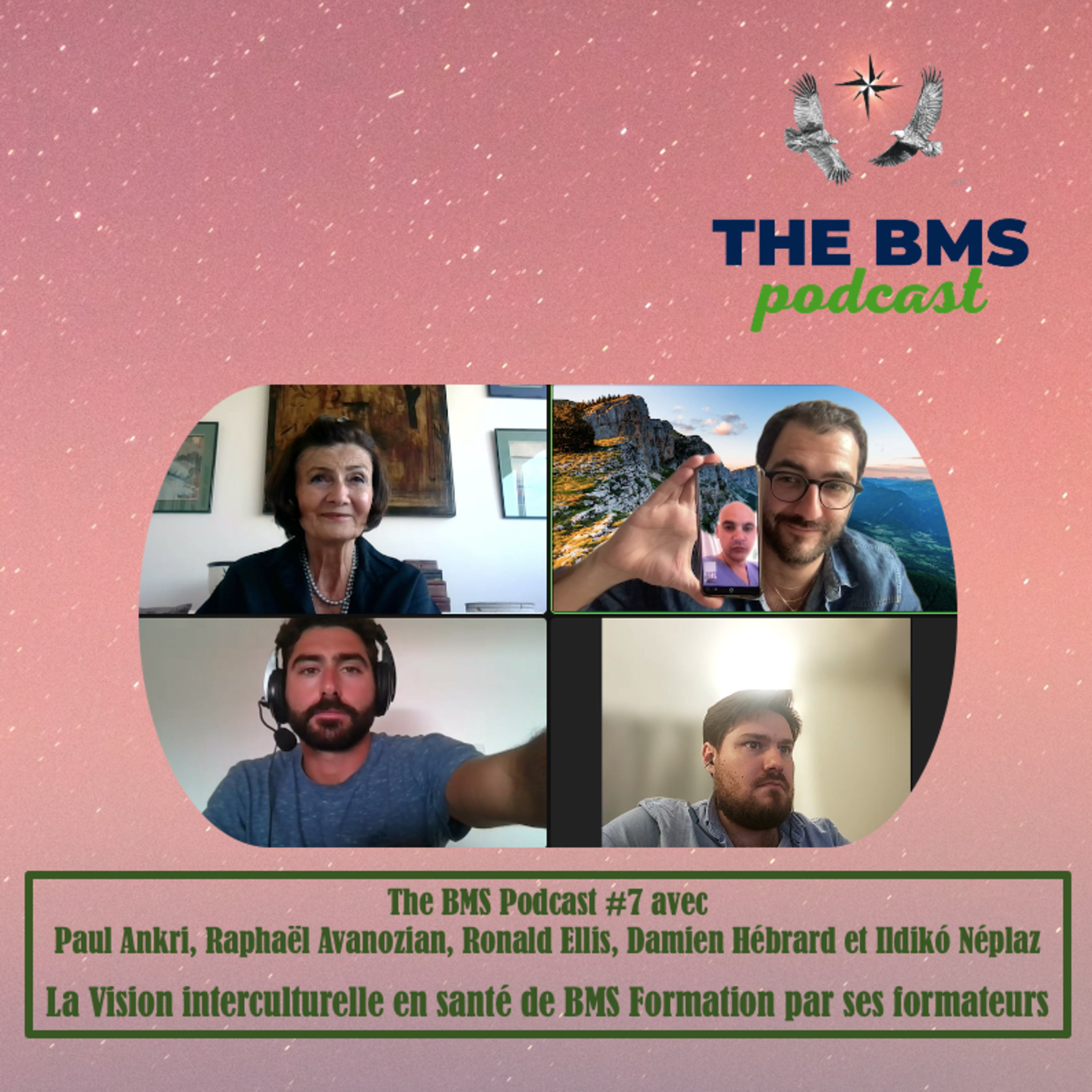 The BMS Podcast | Integrative & Evidence-Informed Healthcare 🌎