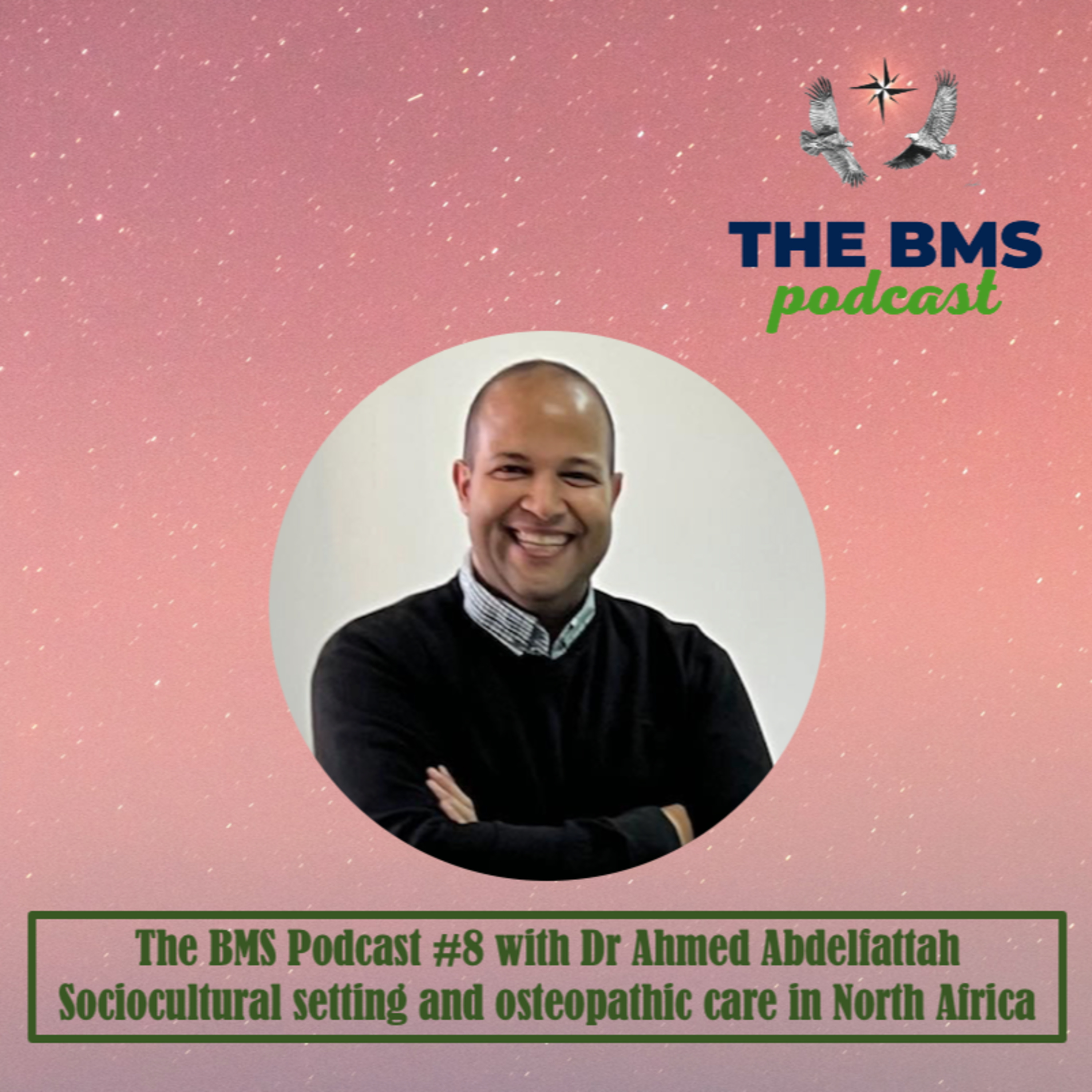 The BMS Podcast | Integrative & Evidence-Informed Healthcare 🌎