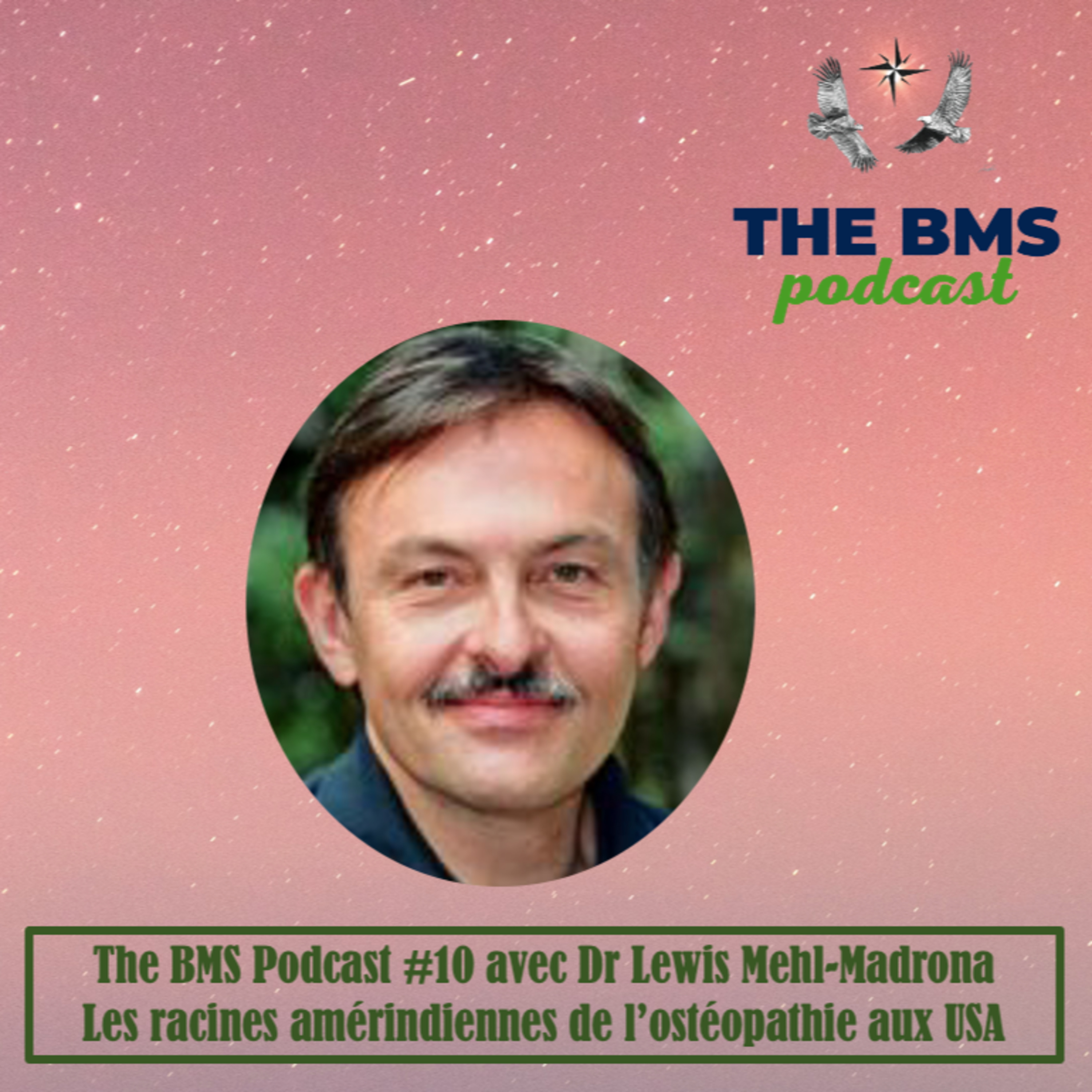 The BMS Podcast | Integrative & Evidence-Informed Healthcare 🌎