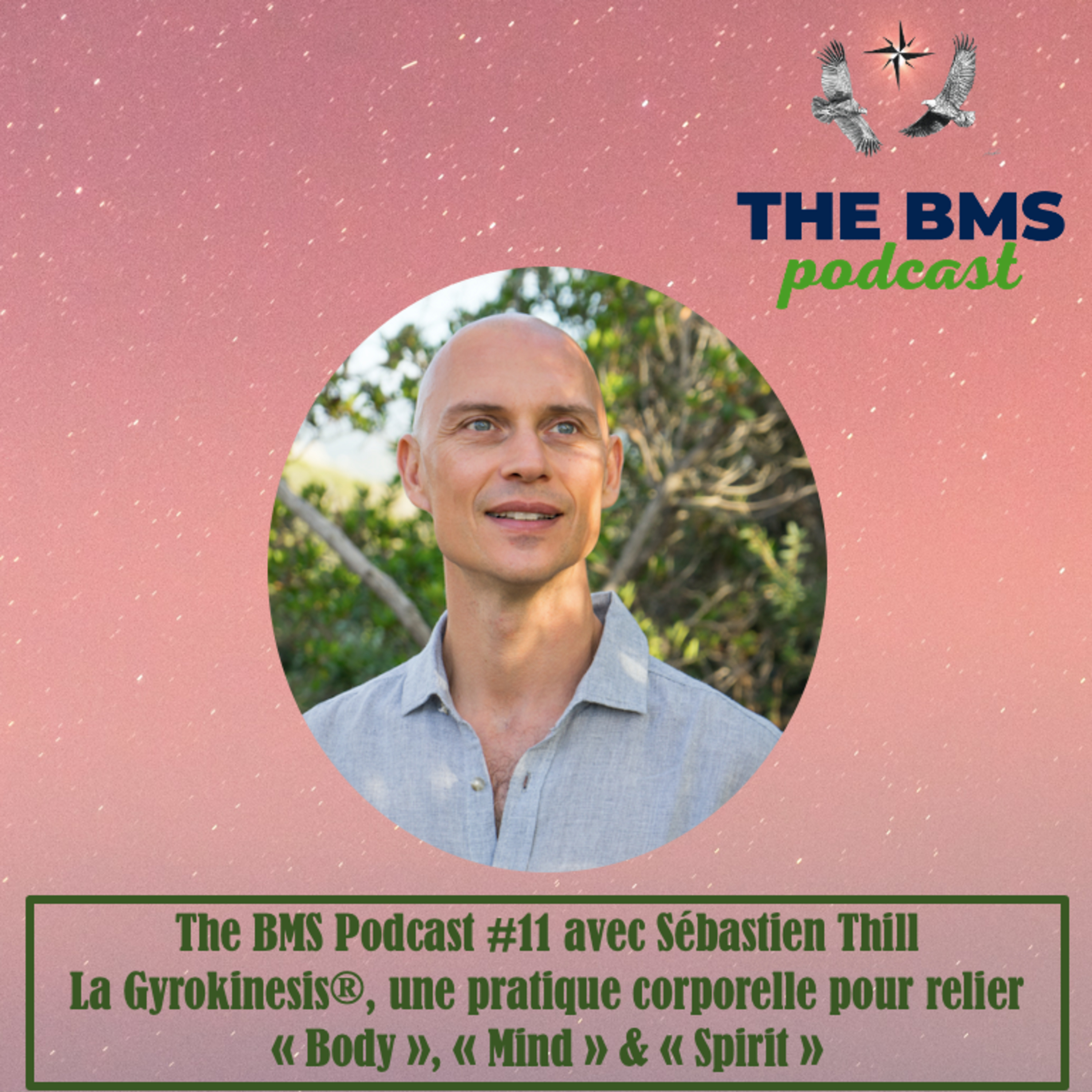 The BMS Podcast | Integrative & Evidence-Informed Healthcare 🌎