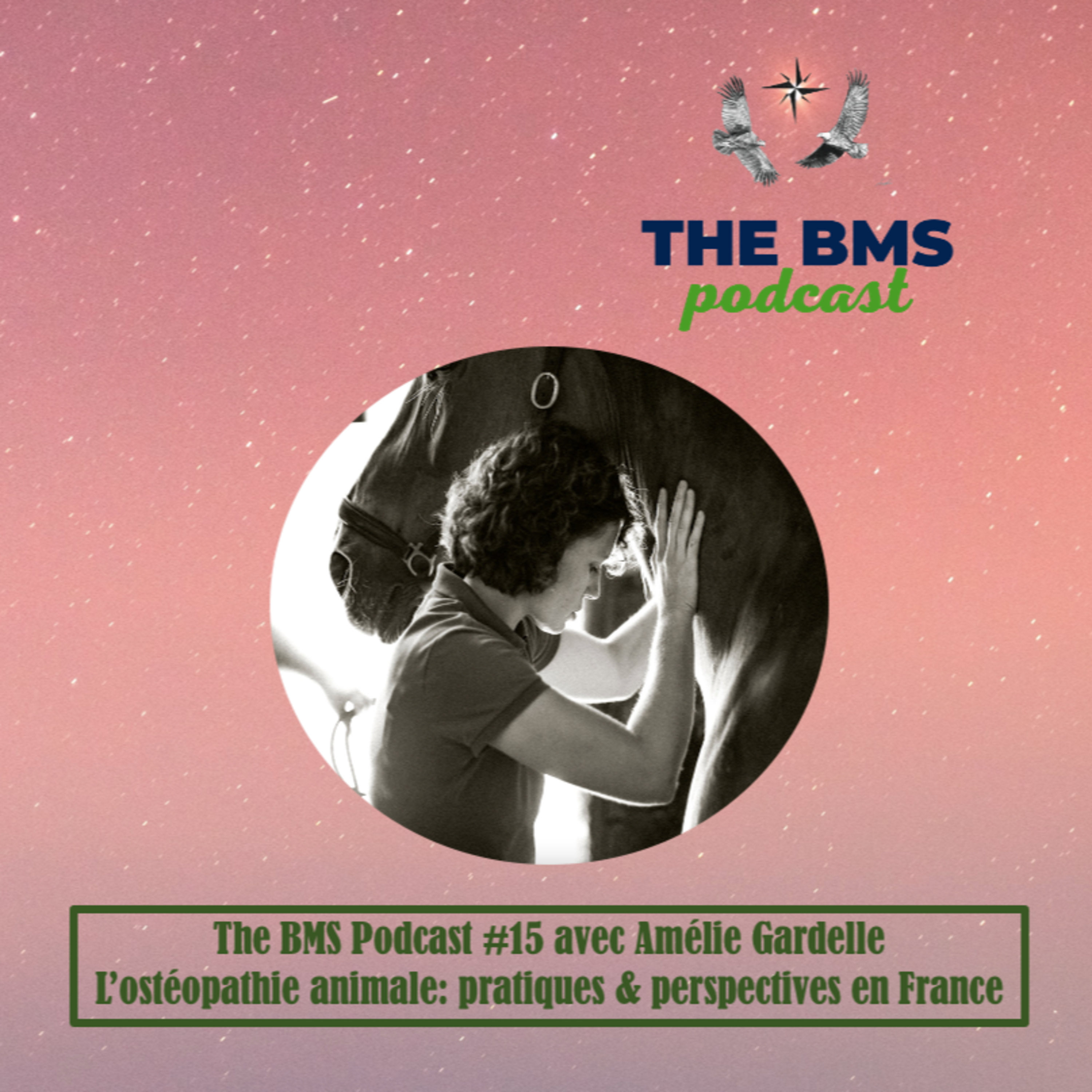 The BMS Podcast | Integrative & Evidence-Informed Healthcare 🌎