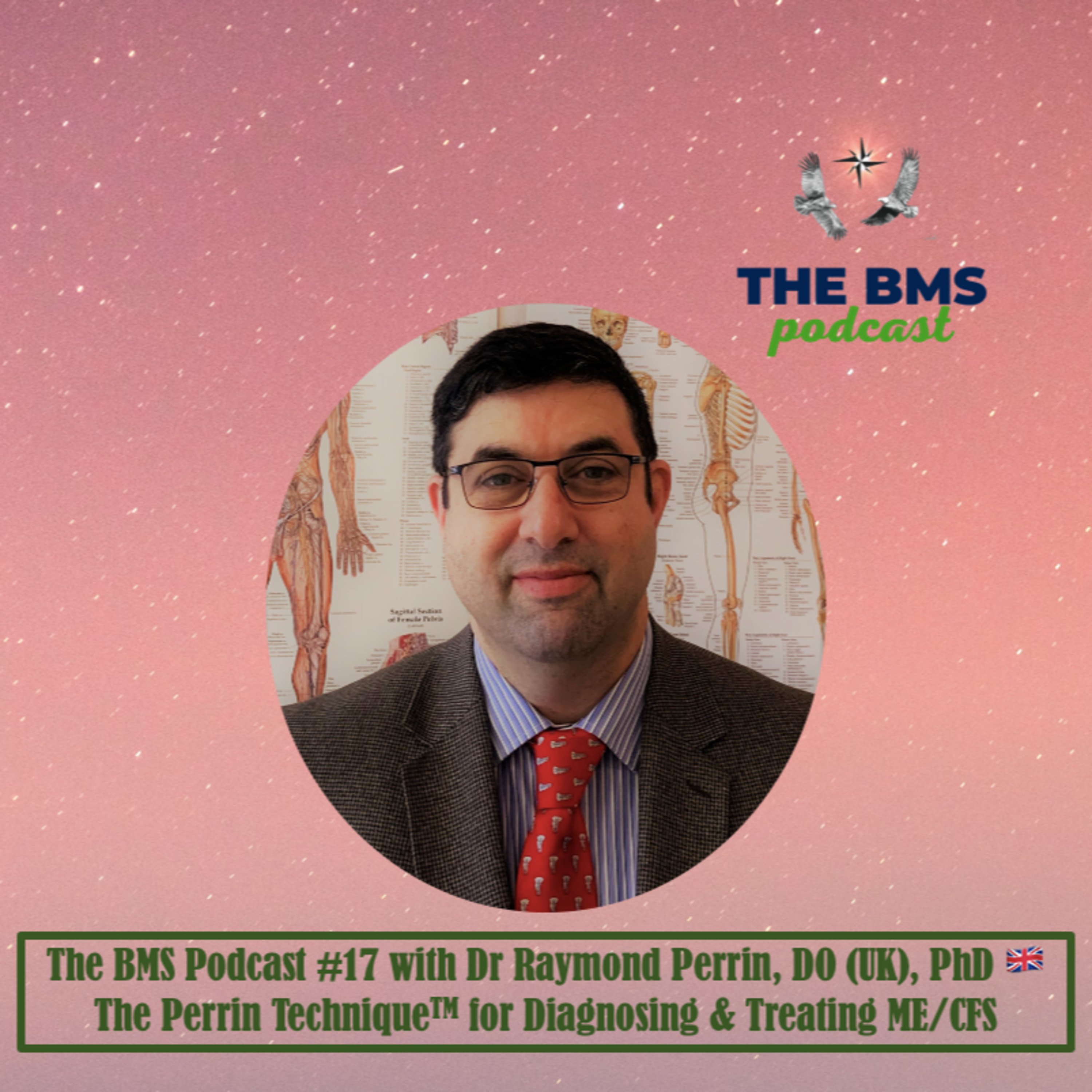 The BMS Podcast | Integrative & Evidence-Informed Healthcare 🌎