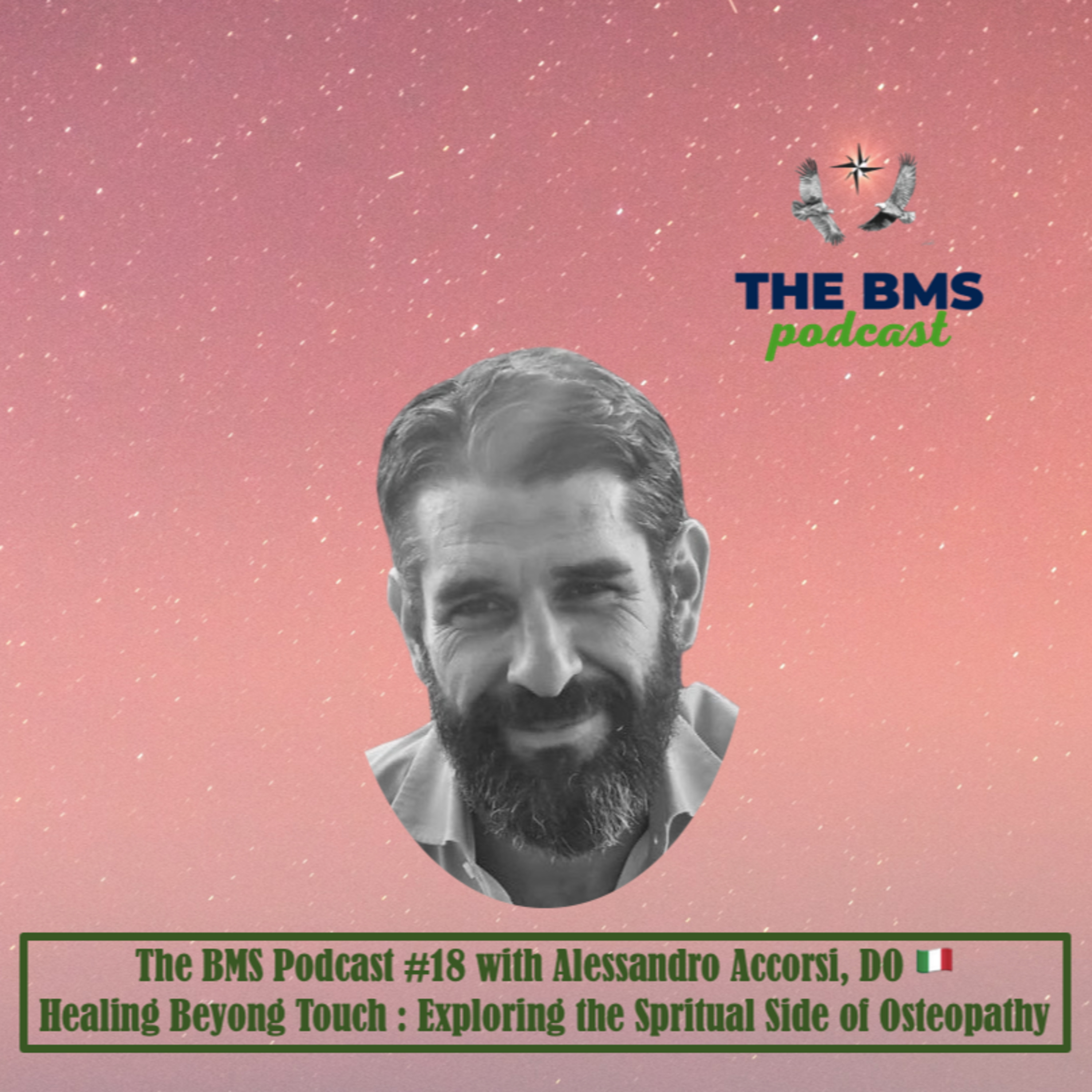 The BMS Podcast | Integrative & Evidence-Informed Healthcare 🌎