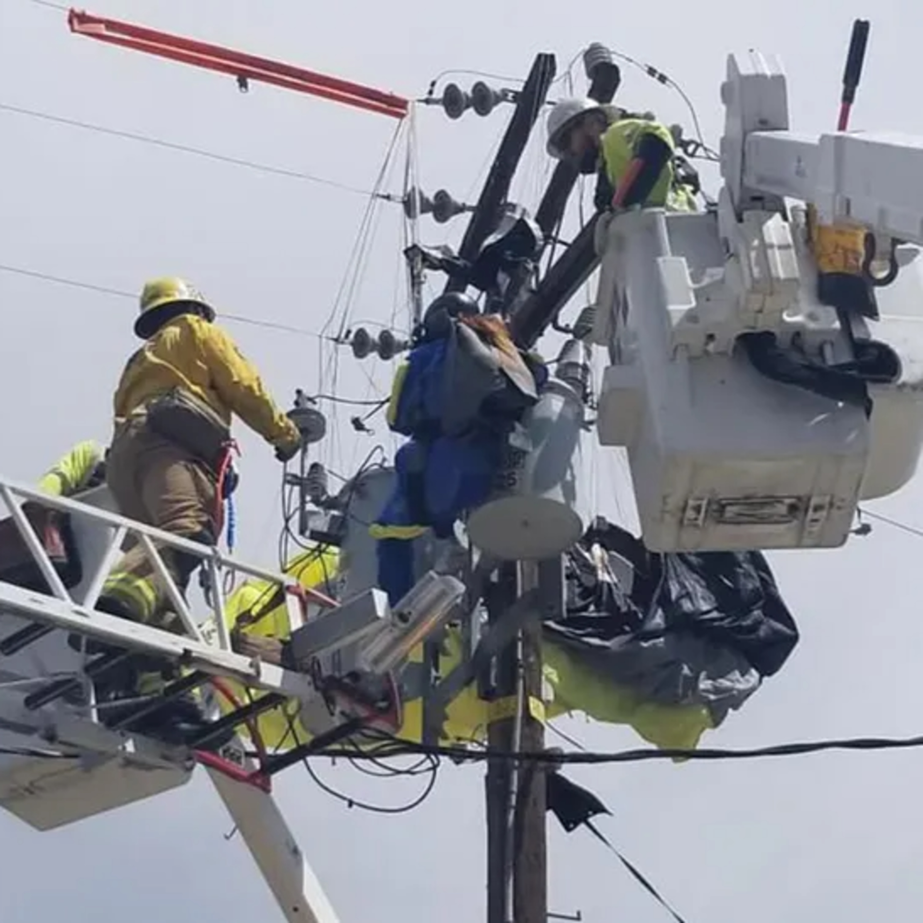 Skydiver's Terrifying Crash Into Power Lines Caught on Camera - Miraculous Escape! episode artwork