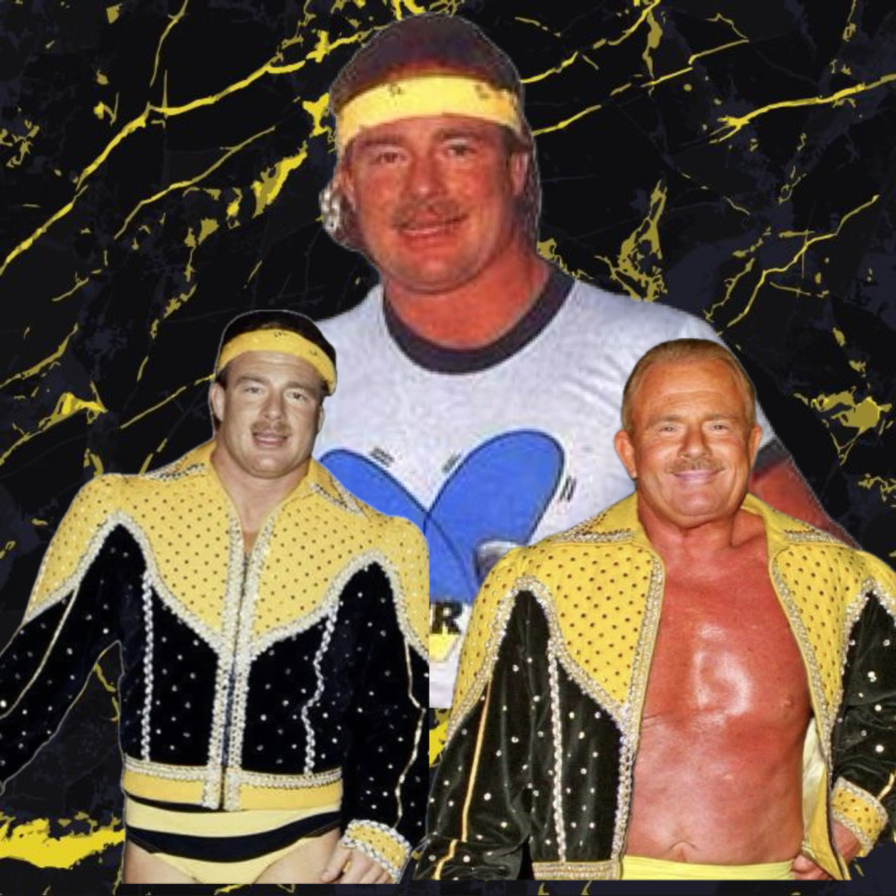 B Brian Blair On Killer Bees, Cauliflower Alley Club, Knocking Mick Foleys Tooth Out And More episode artwork
