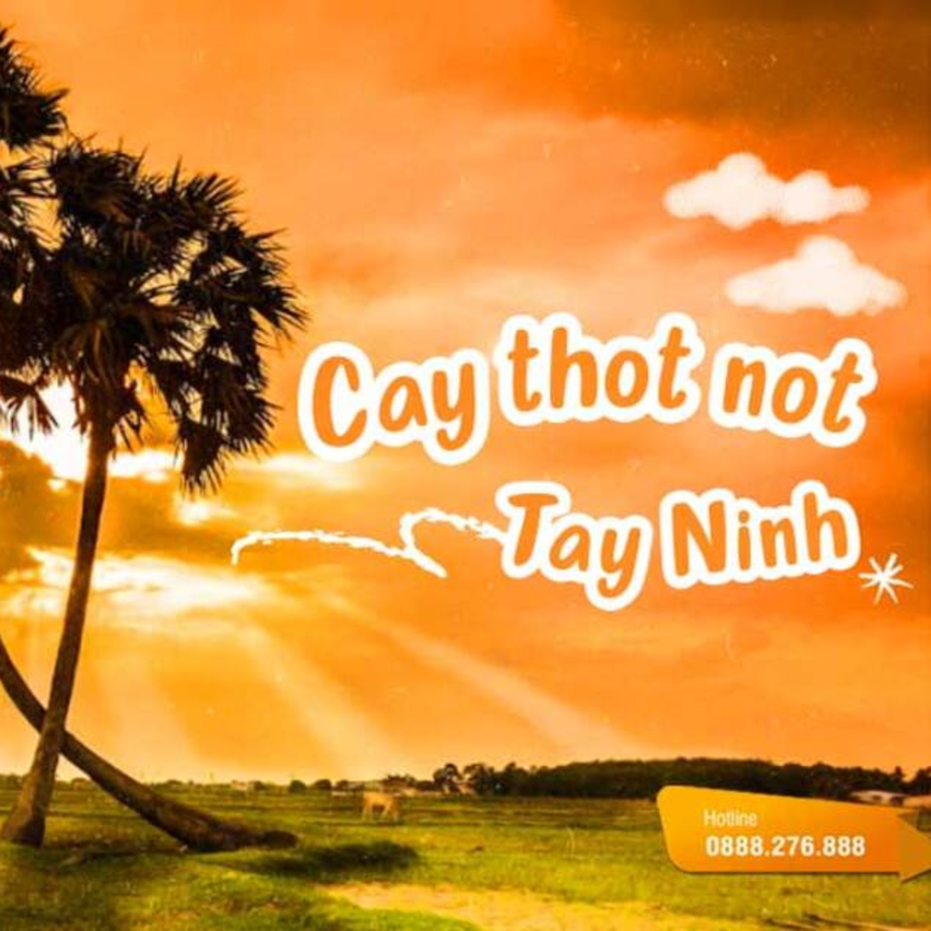 Cẩm nang du lịch 3 miền