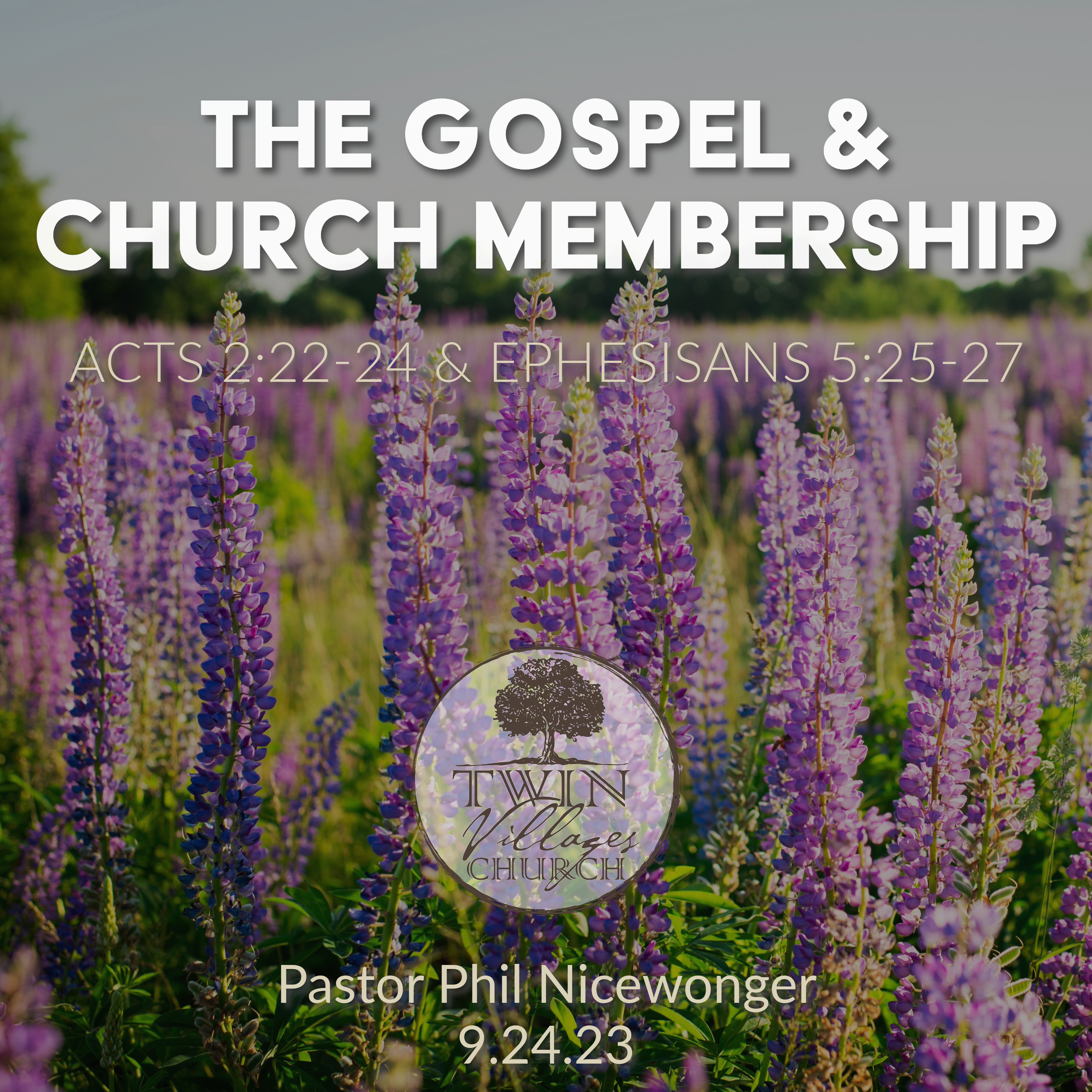 “The Gospel & Church Membership” // Acts 2:22-24 & Ephesisans 5:25-27  // Phil Nicewonger // 9.24.23 episode artwork