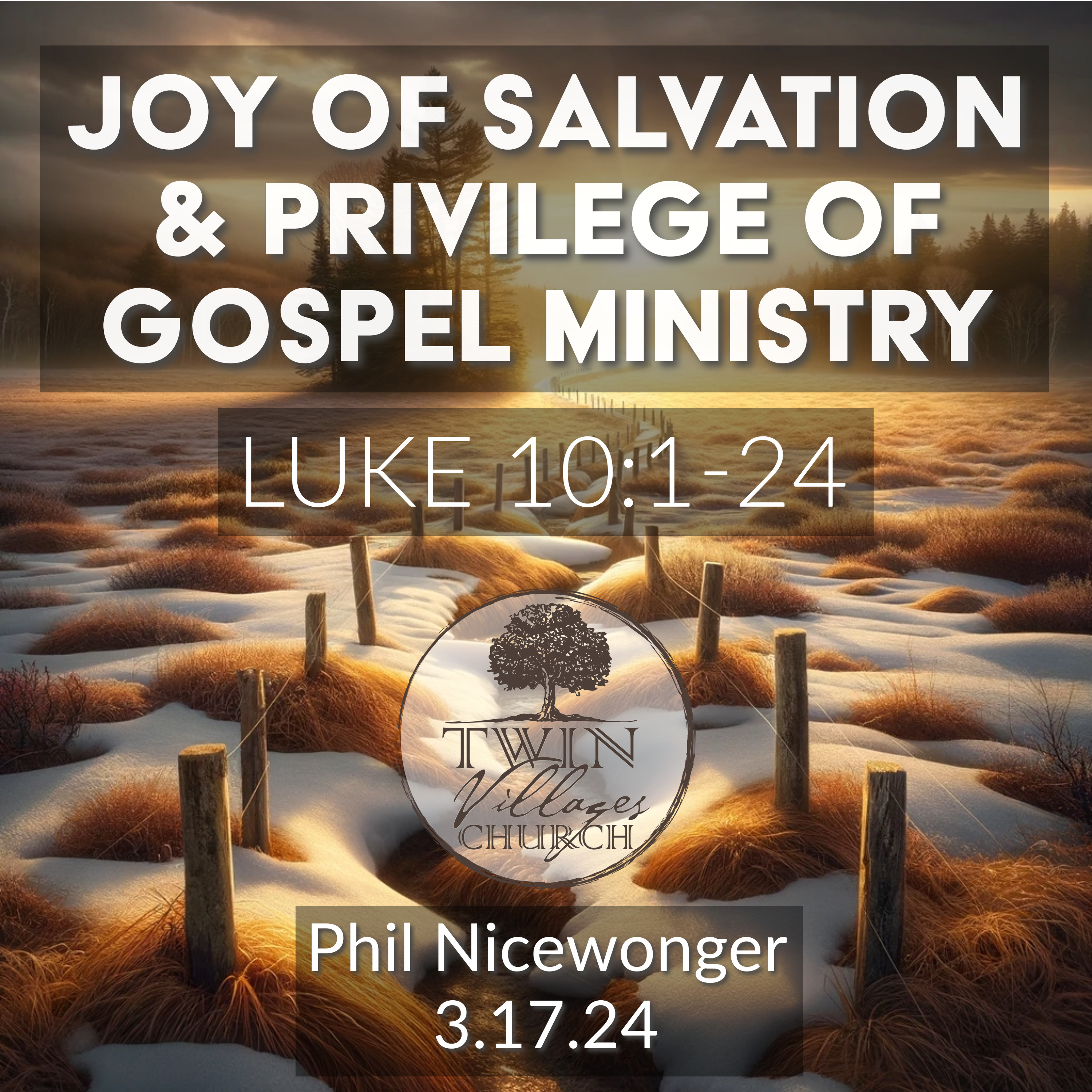 Joy of Salvation & Privilege of Gospel Ministry - Sermon on Luke 10:1–24 episode artwork