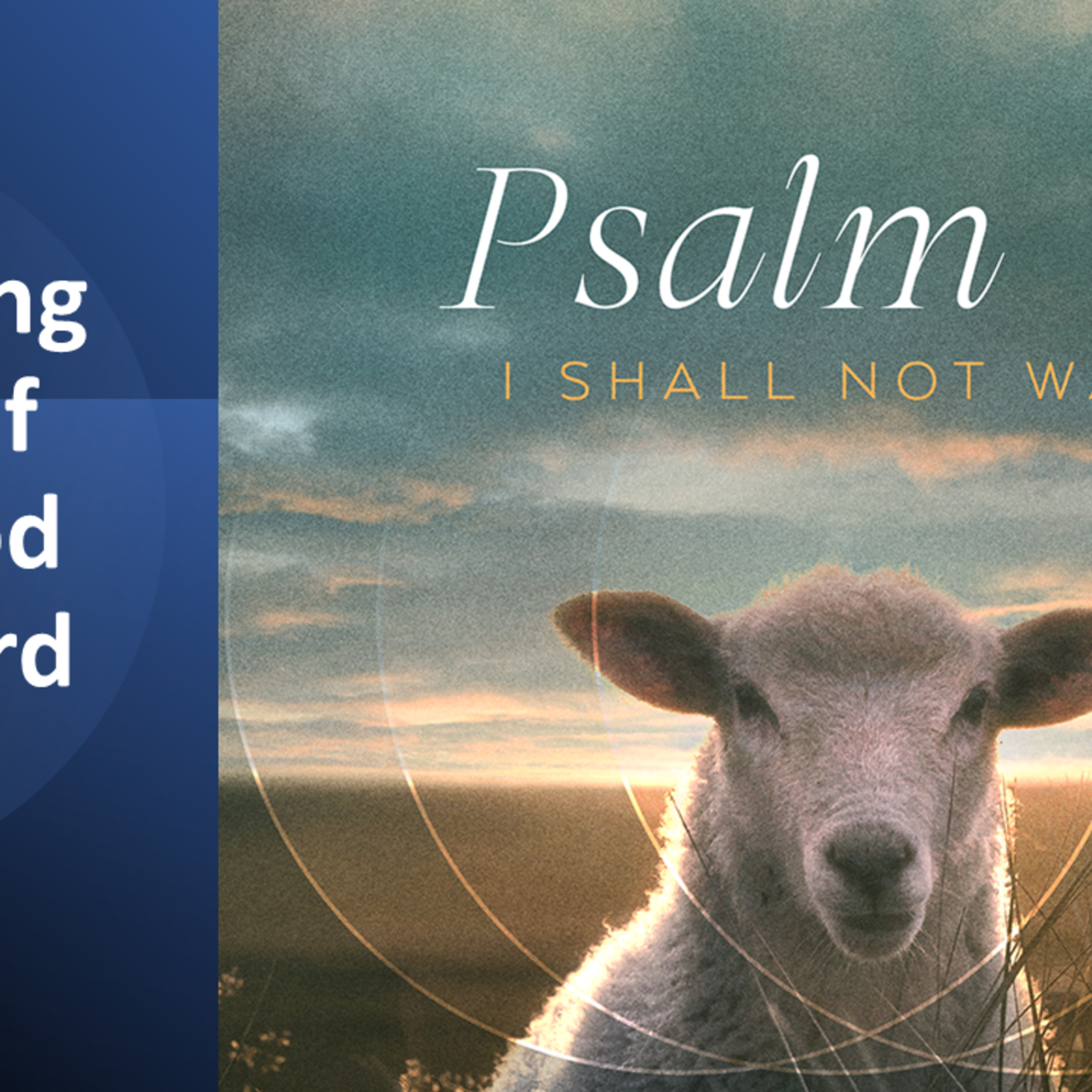 "Becoming Sheep of the Good Shepherd" 4-16-2023 episode artwork