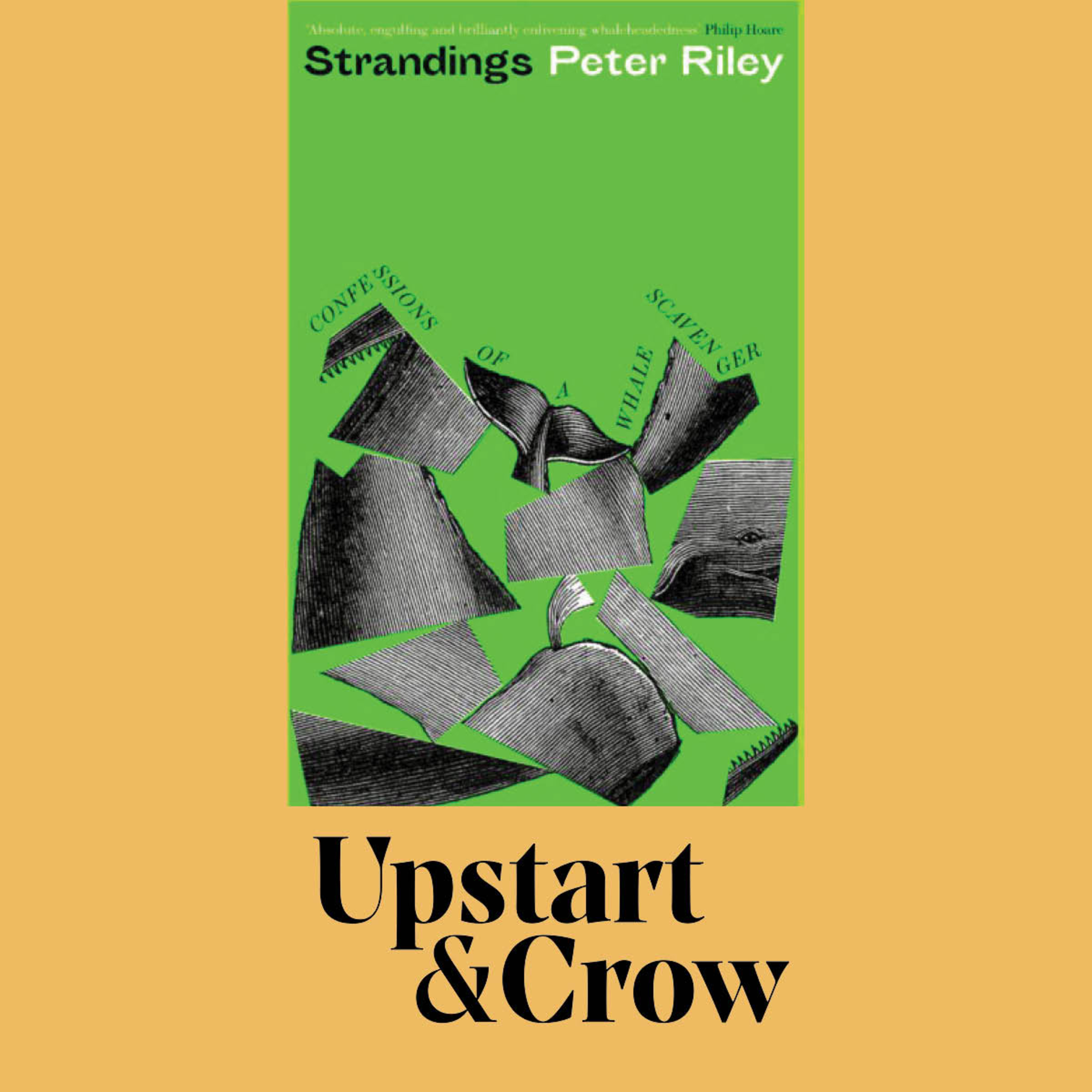Strandings: In Conversation with Peter Riley episode artwork