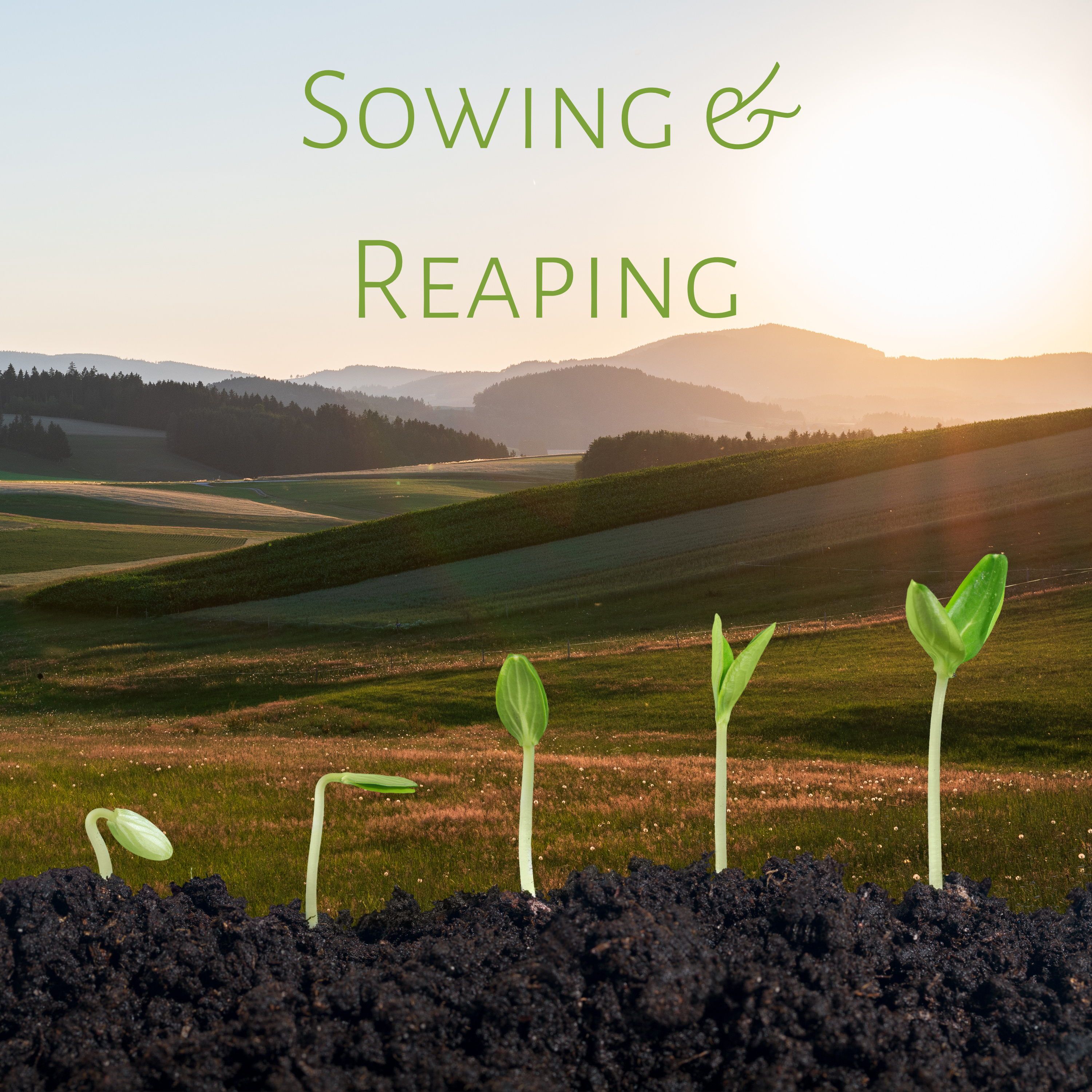 Sowing and Reaping 2 - Win Win Situations - 2 Corinthians 9:6-15 episode artwork