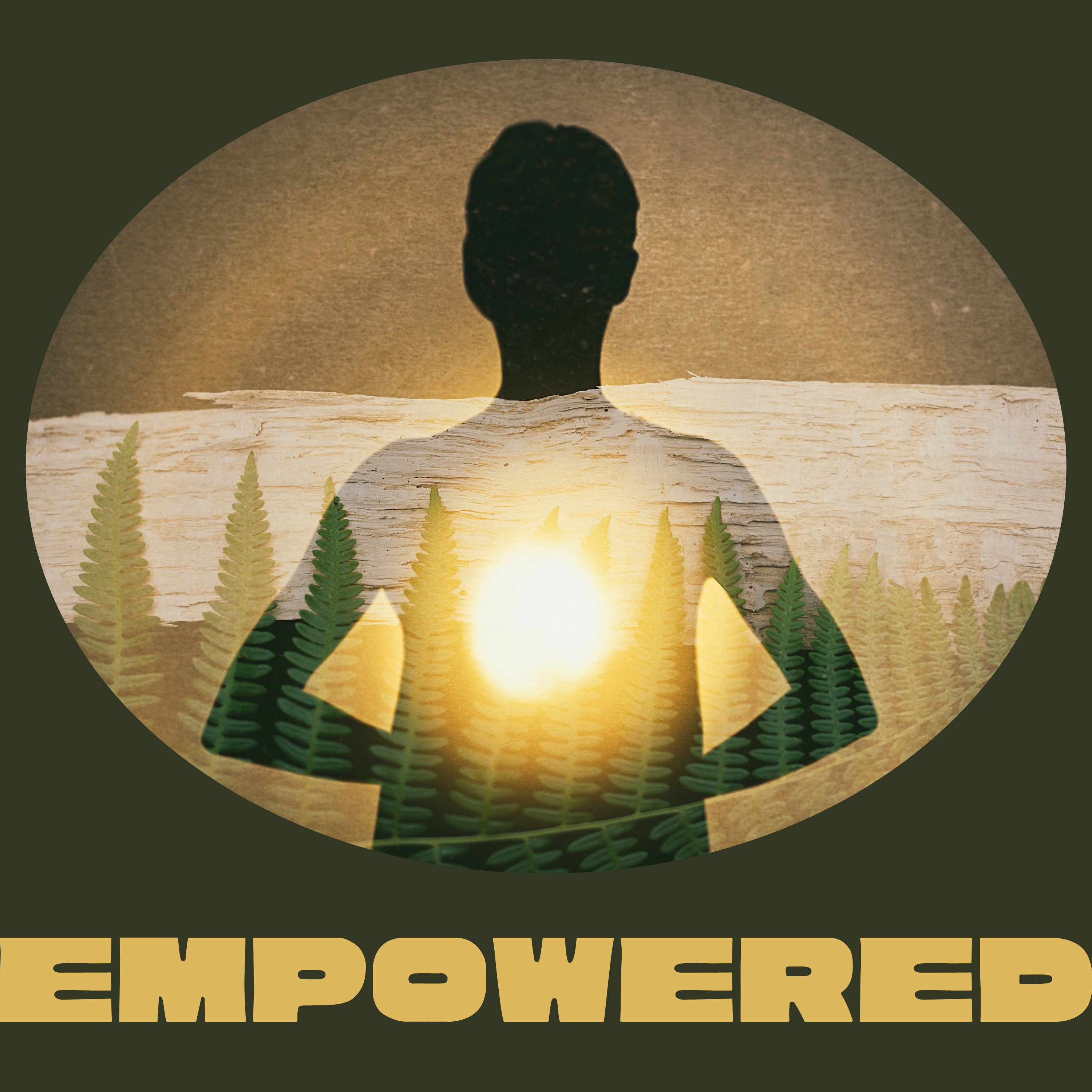 Empowered 3: Becoming Equipped for God's Purposes - 2 Timothy 1:3-14 episode artwork