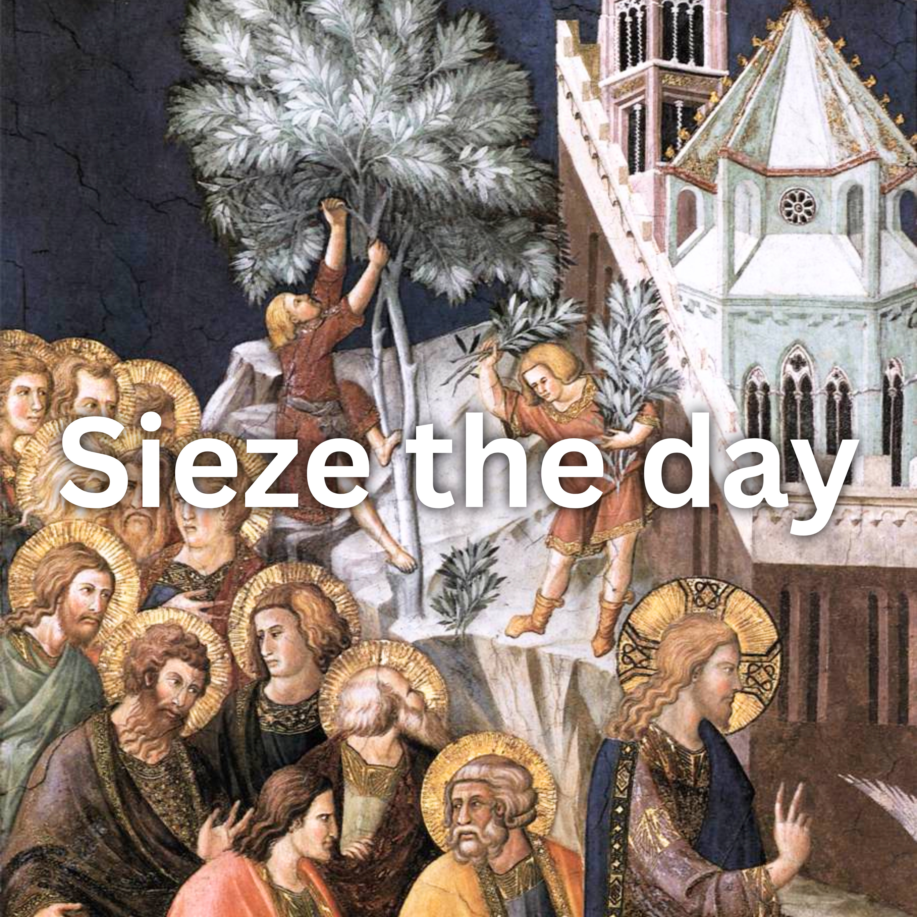 Palm Sunday - Seize the day - Luke 19:28-44 episode artwork