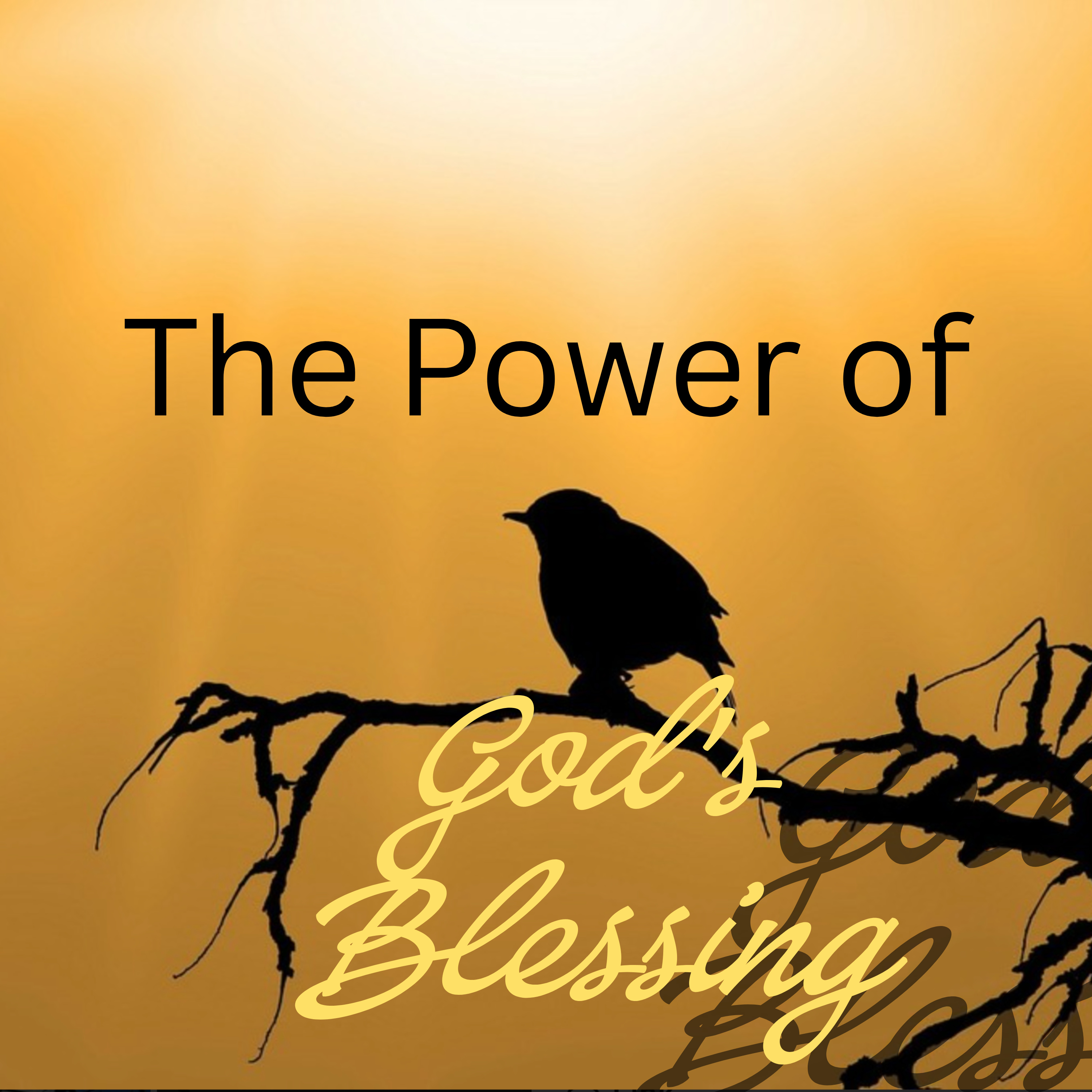 The Power of God's Blessing 2 - Exodus 2. episode artwork