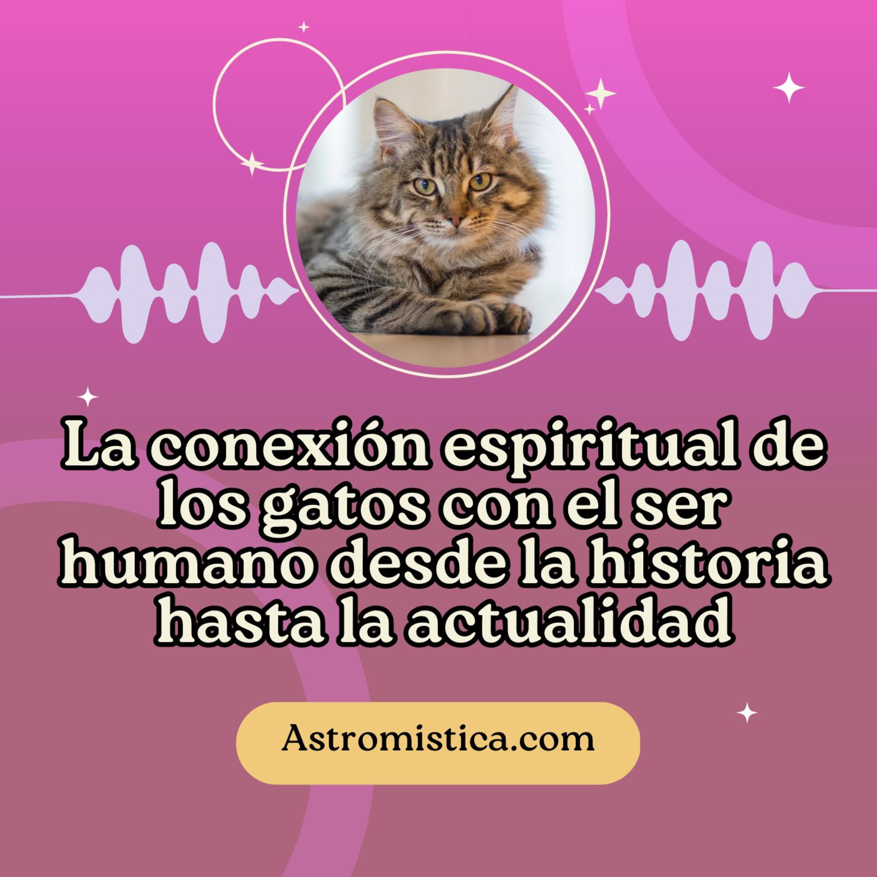 La conexión espiritual de los gatos con el ser humano desde la historia hasta la actualidad. episode artwork