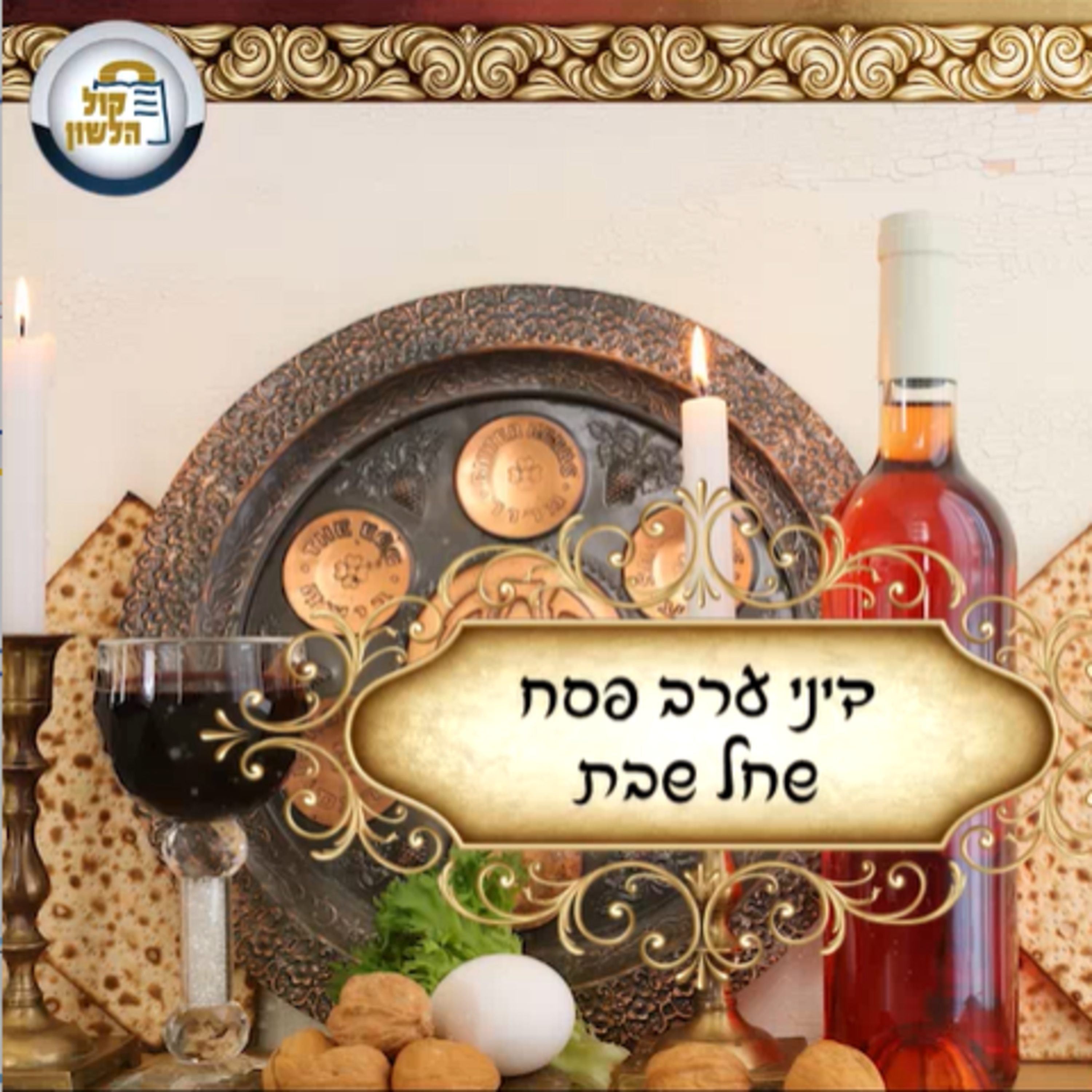 🍷כל ההלכות לערב פסח שחל בשבת 🕯🕯 | הפוסק הגאון ר' יהודה אריה דינר שליט"א