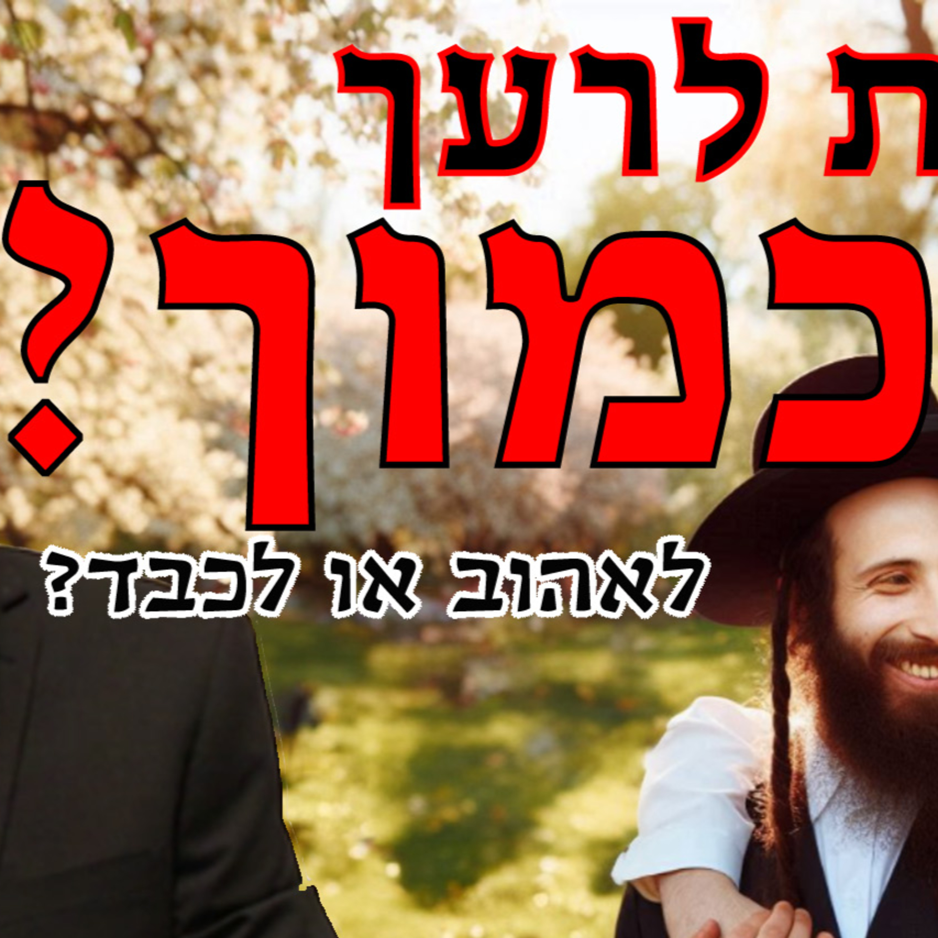 לאהוב או לכבד ? - רעיון נפלא לפרשת אחרי מות - קדושים | הרב גדליה הופנונג