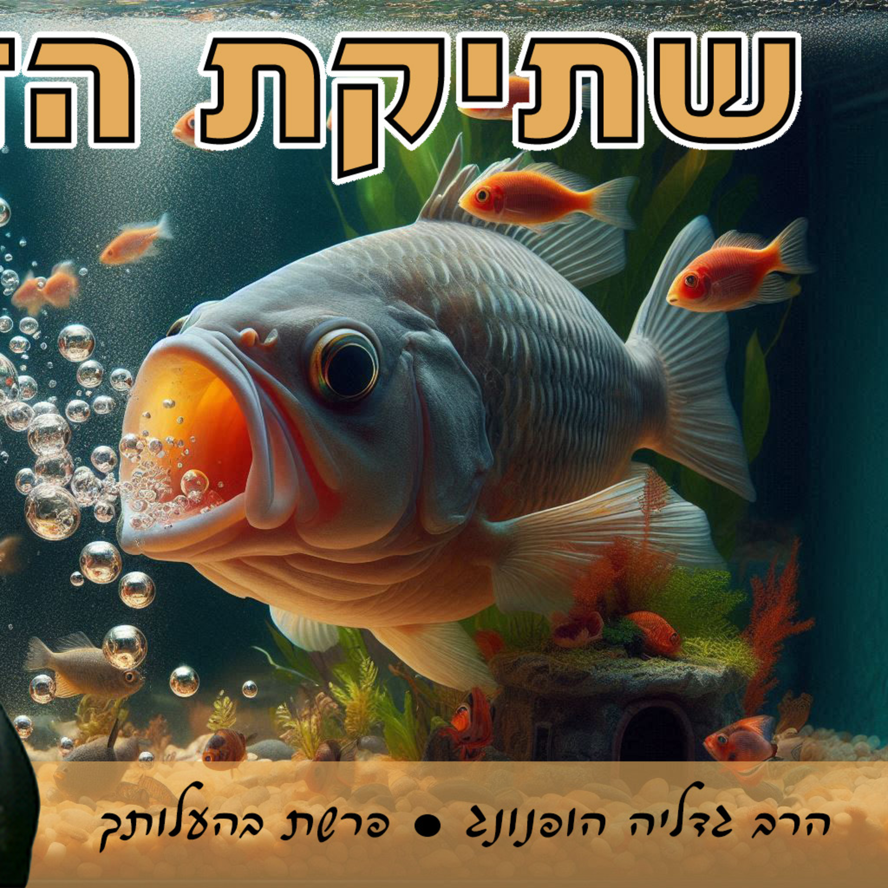 🐟שתיקת הדגים - רעיון נפלא לפרשת בהעלותך | הרב גדליה הופנונג
