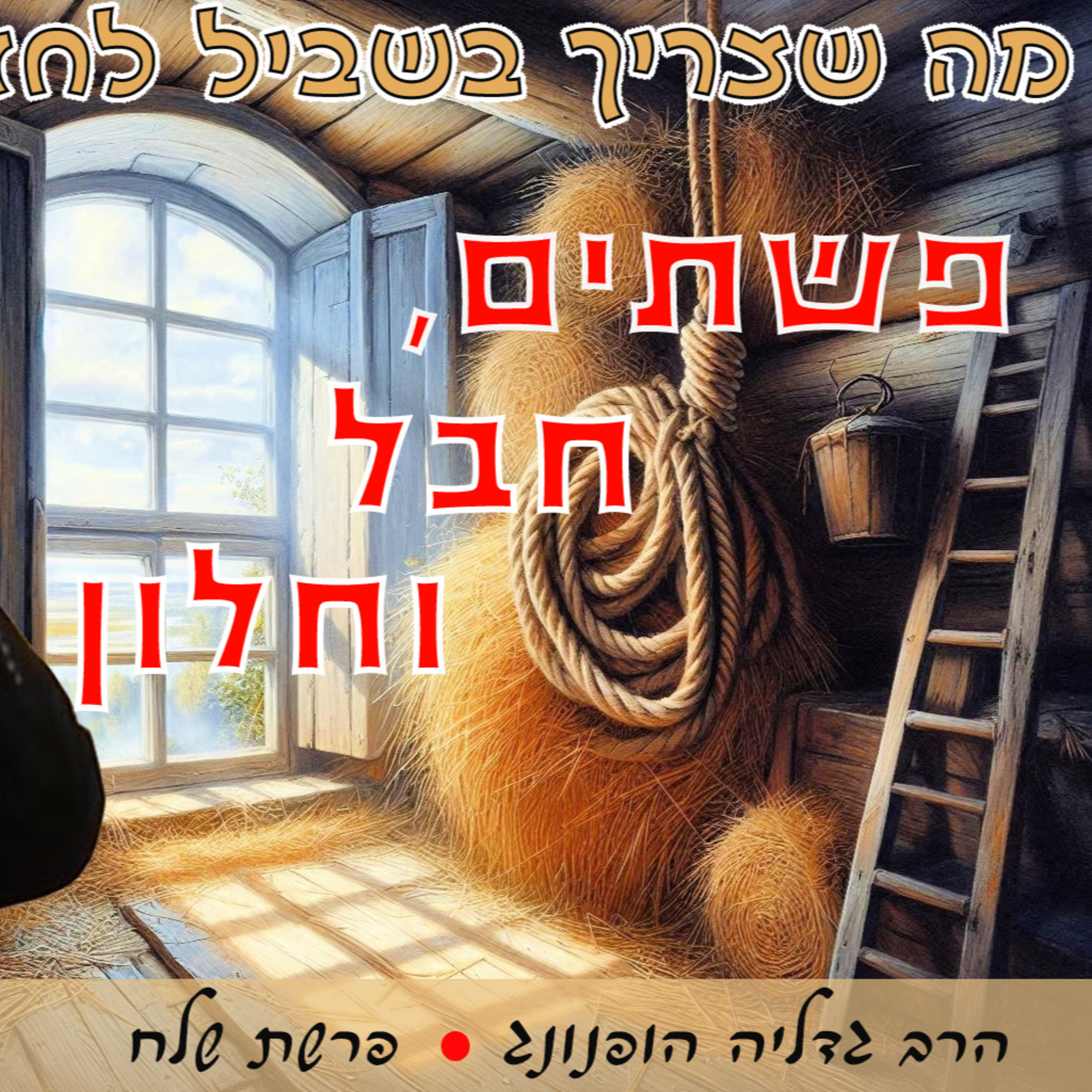🧵פשתים, חבל וחלון - רעיון נפלא לפרשת שלח