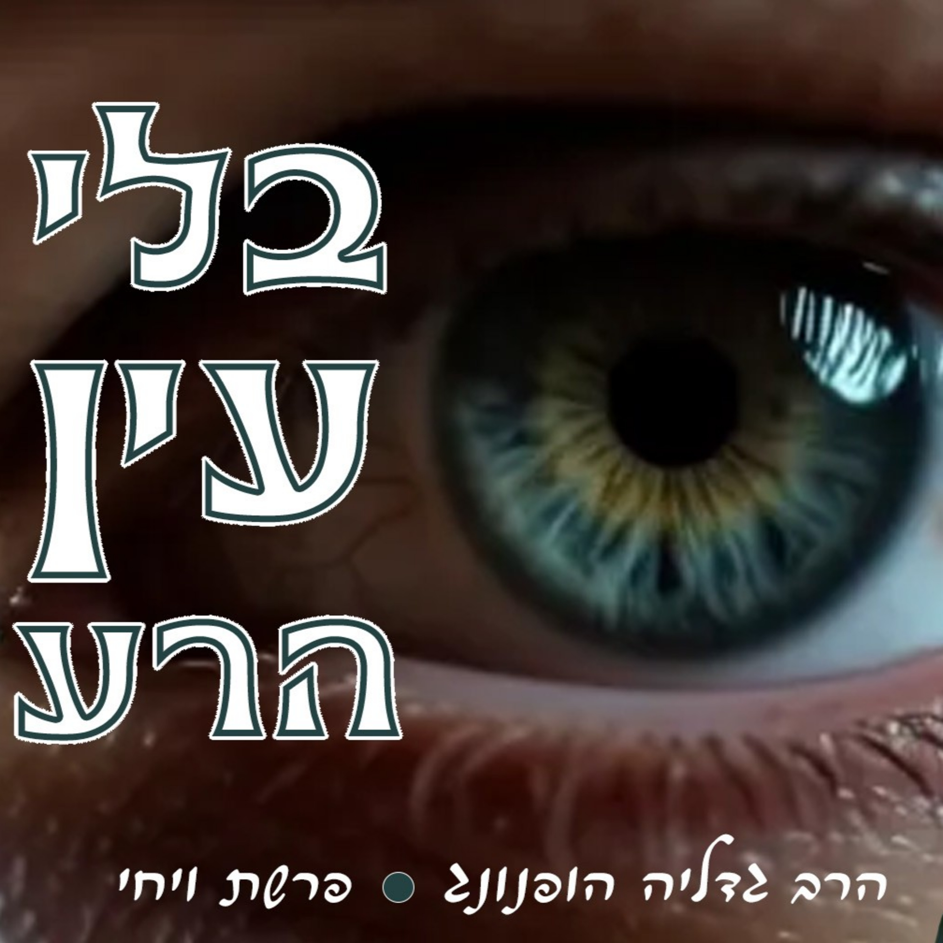 👁️‍🗨️בלי עין הרע - רעיון נפלא לפרשת ויחי | הרב גדליה הופנונג