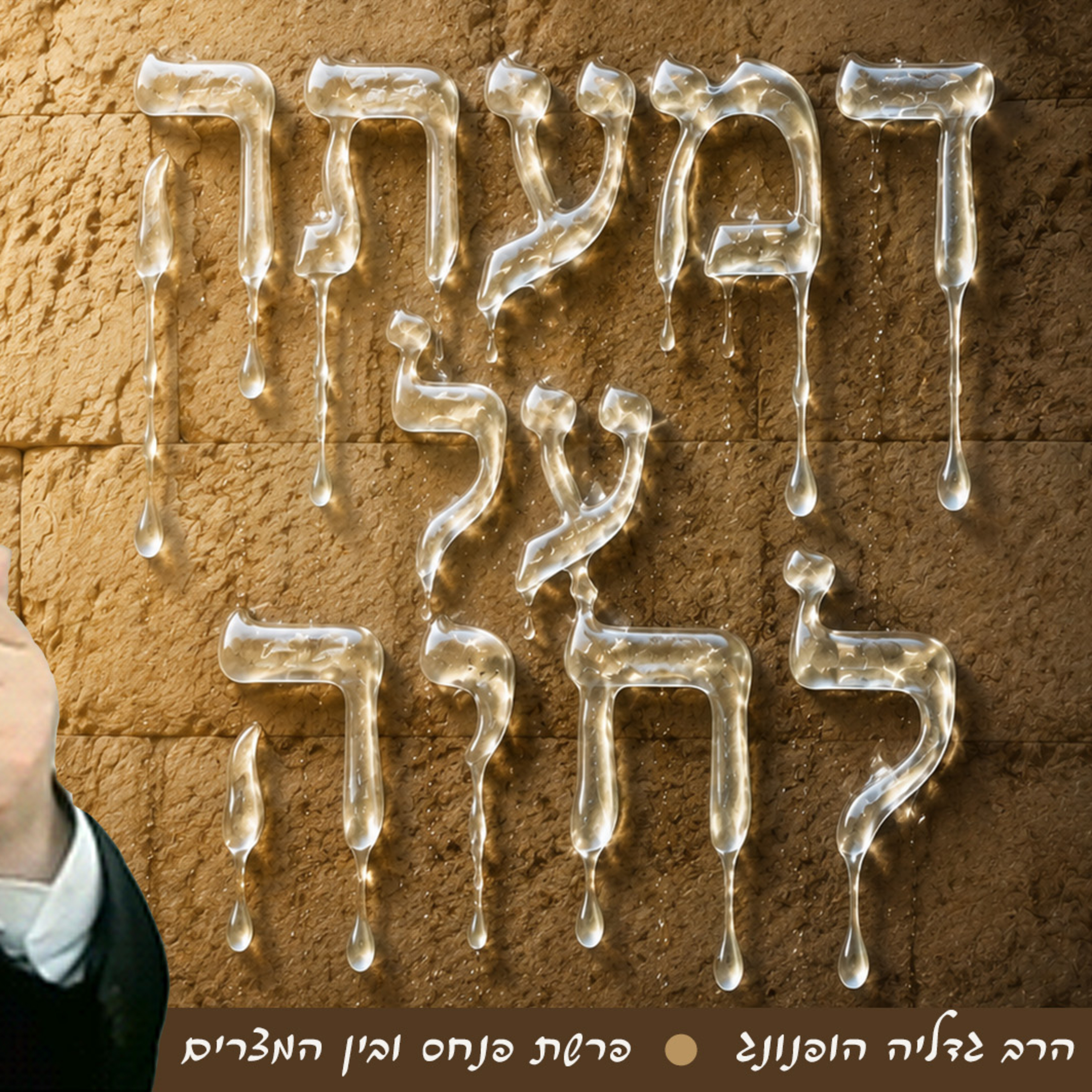 😢דמעתה על לחיה - רעיון נפלא לפרשת פנחס ובין המצרים | הרב גדליה הופנונג  episode artwork