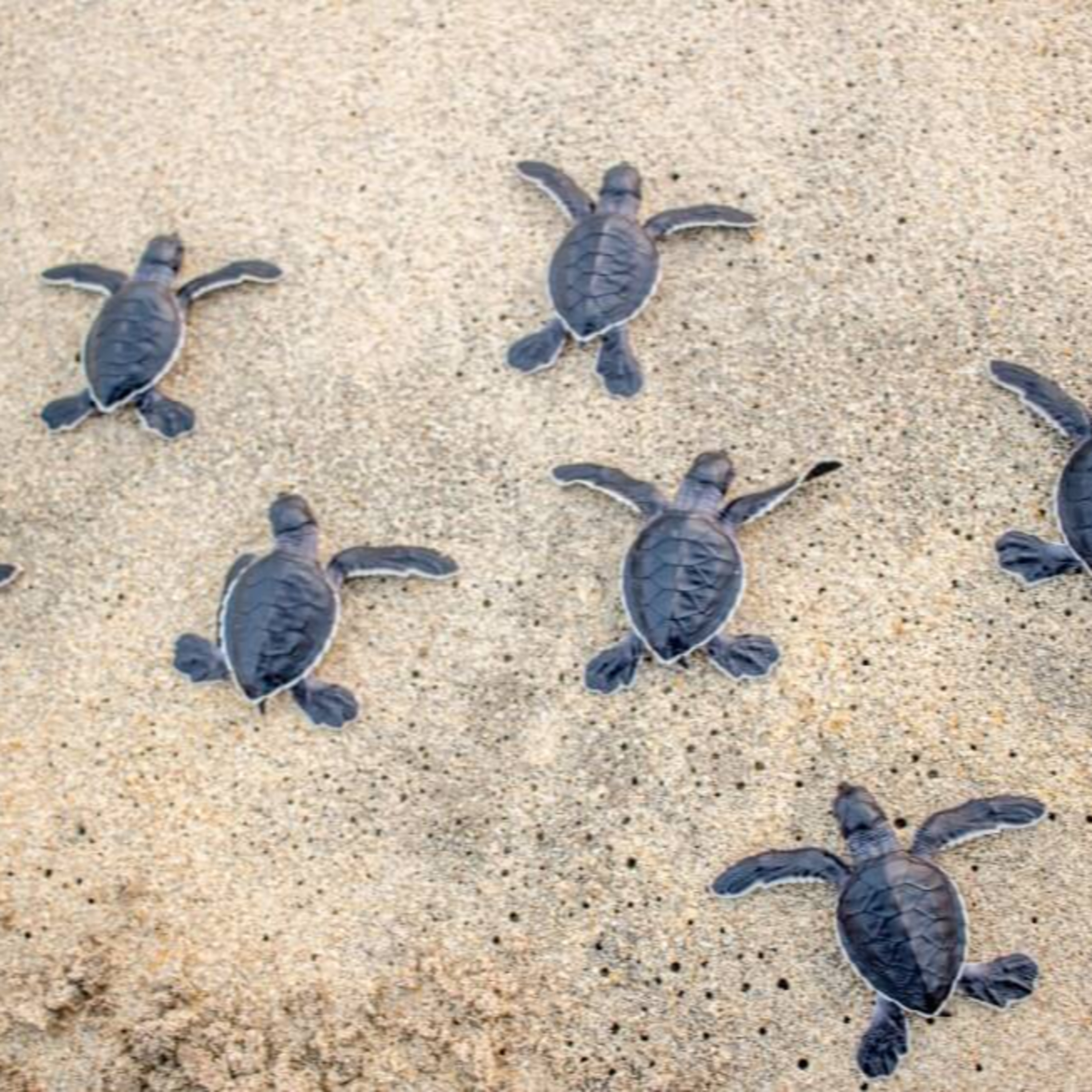 Kids Learning Lab - By a Kid, For Kids