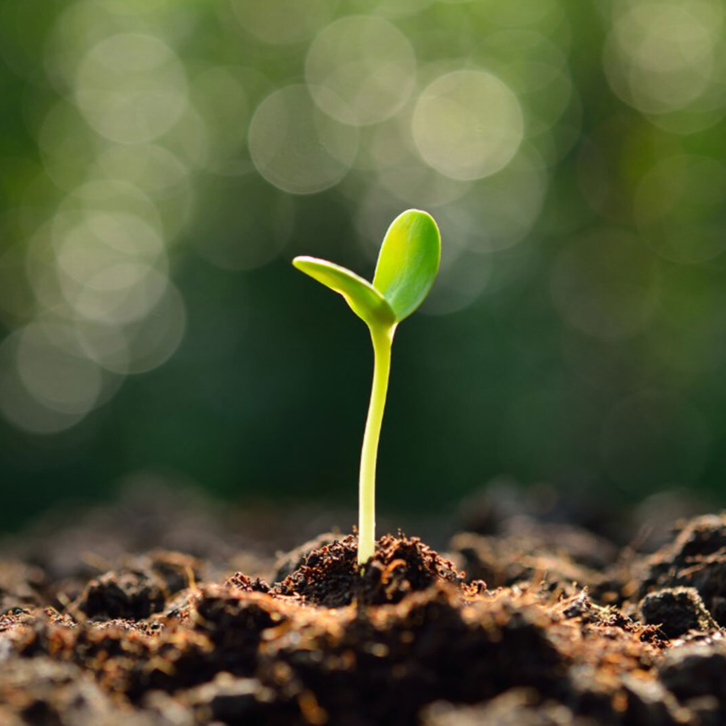 Kids Learning Lab - By a Kid, For Kids