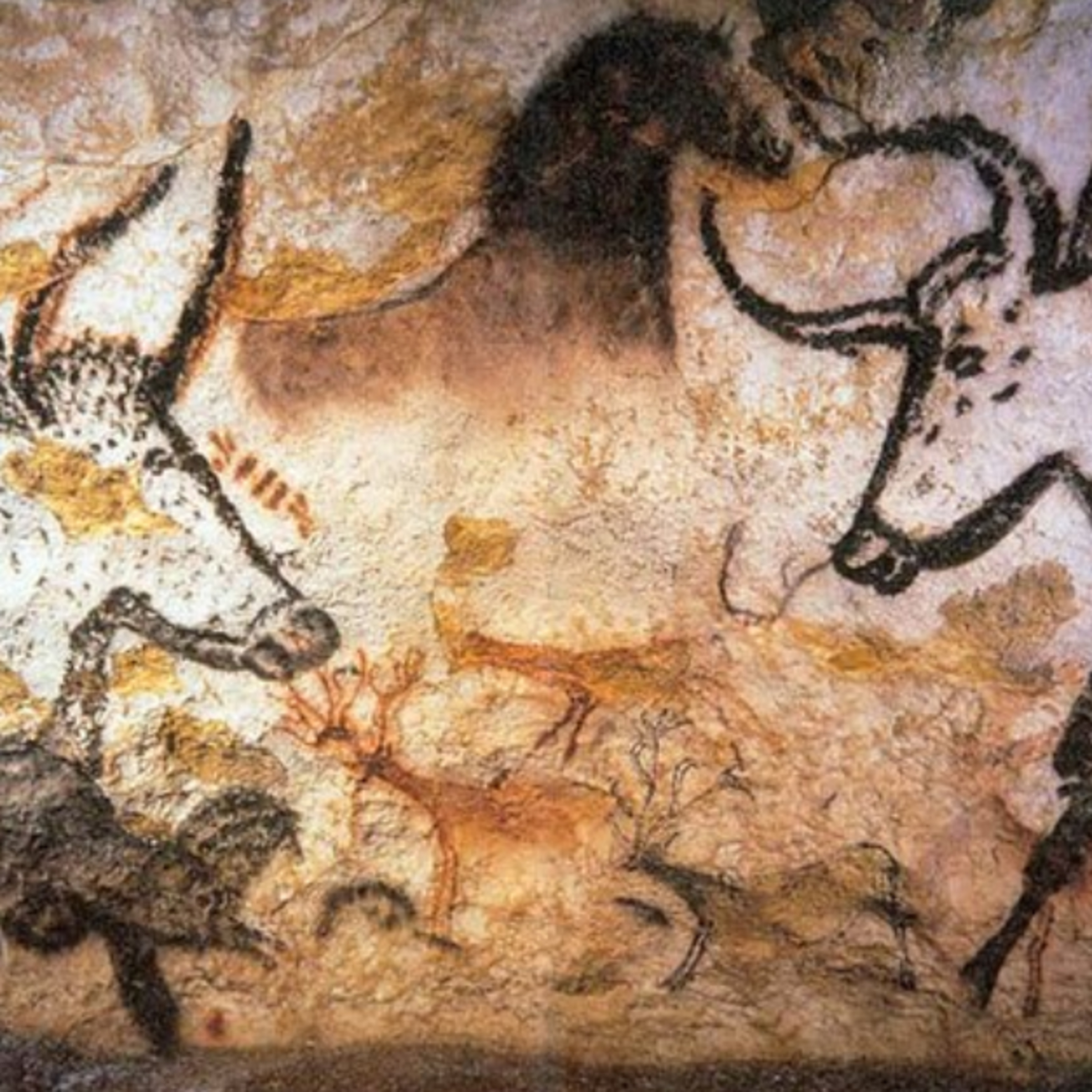 Kids Learning Lab - By a Kid, For Kids