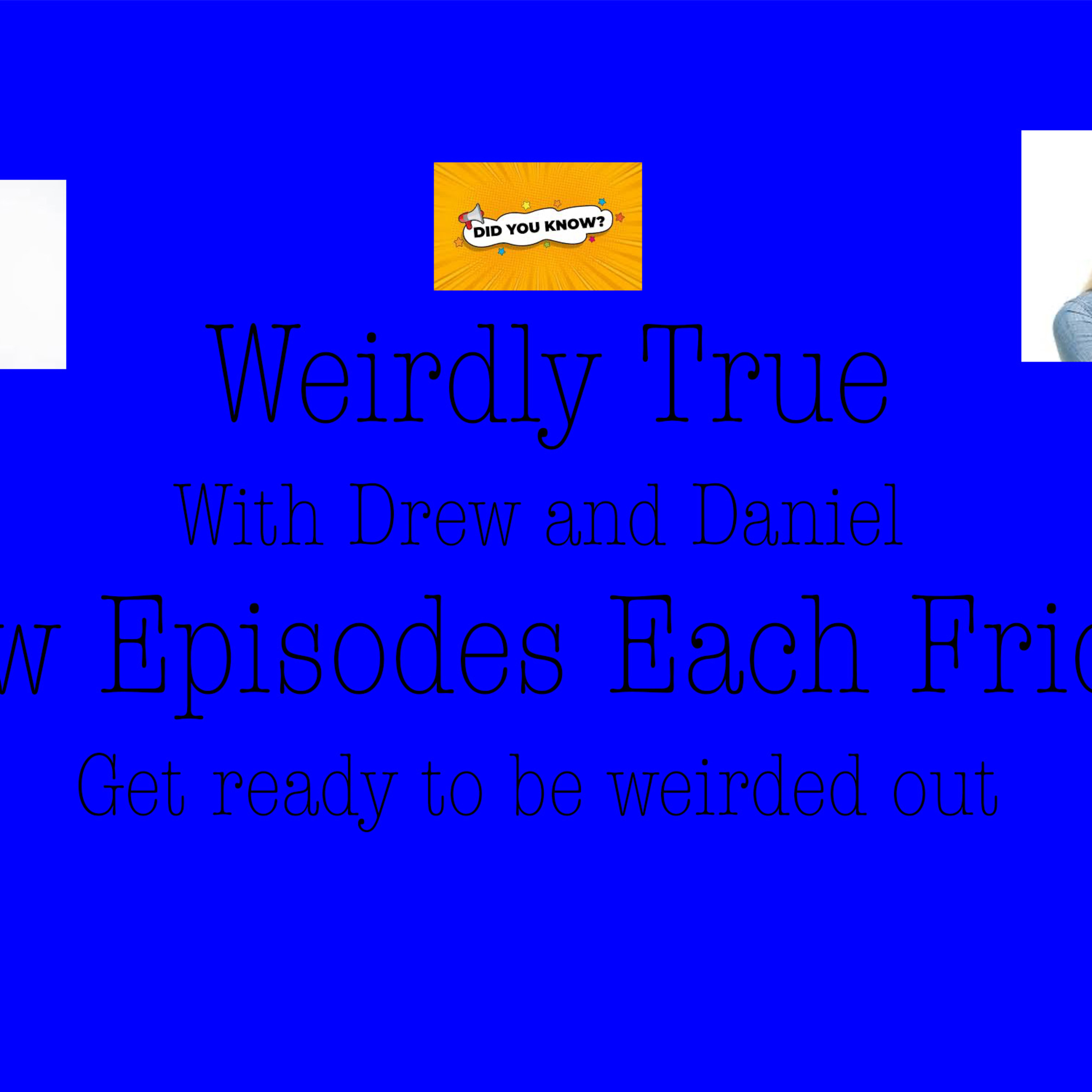 Weirdly True Ep.2 episode artwork