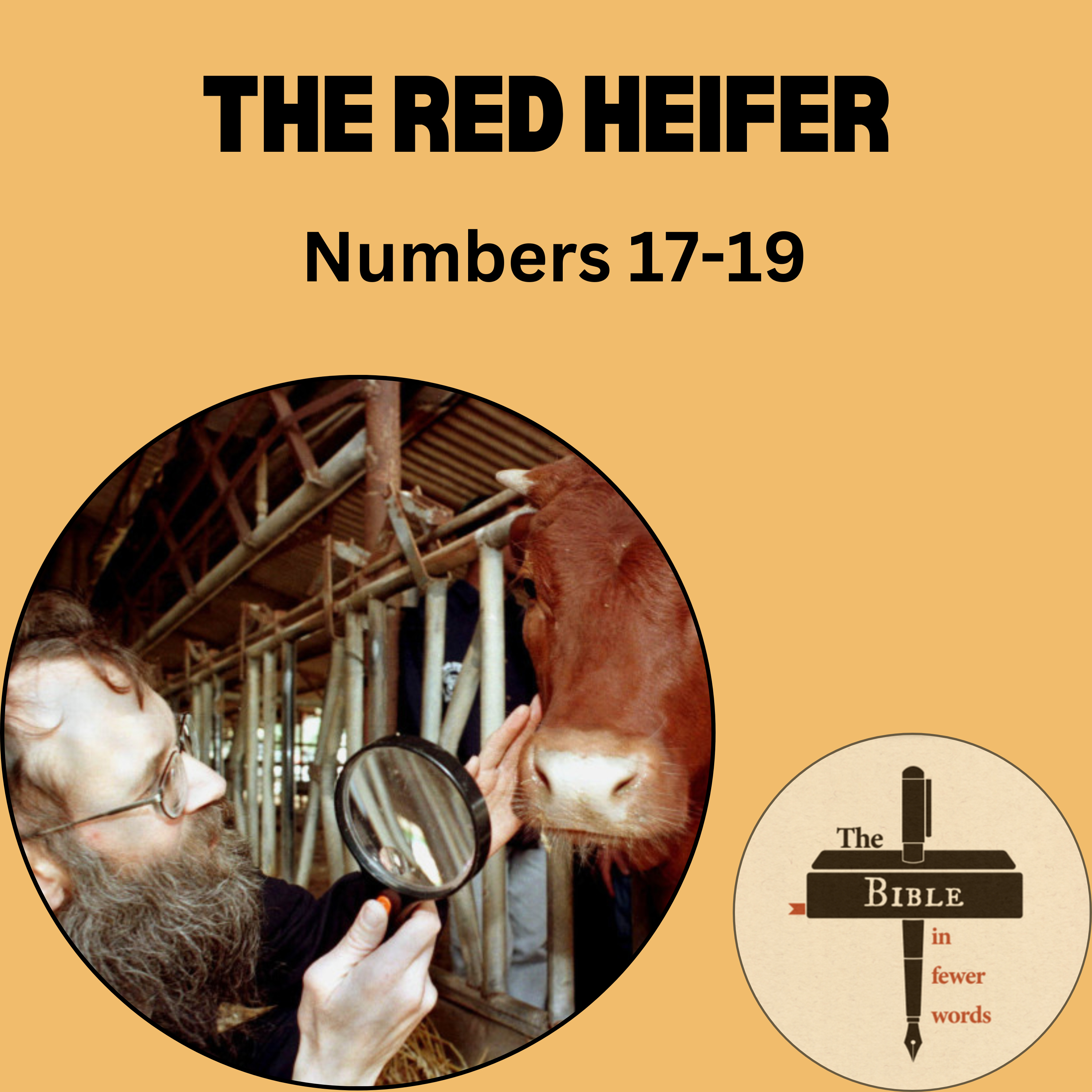 The Bible in Fewer Words