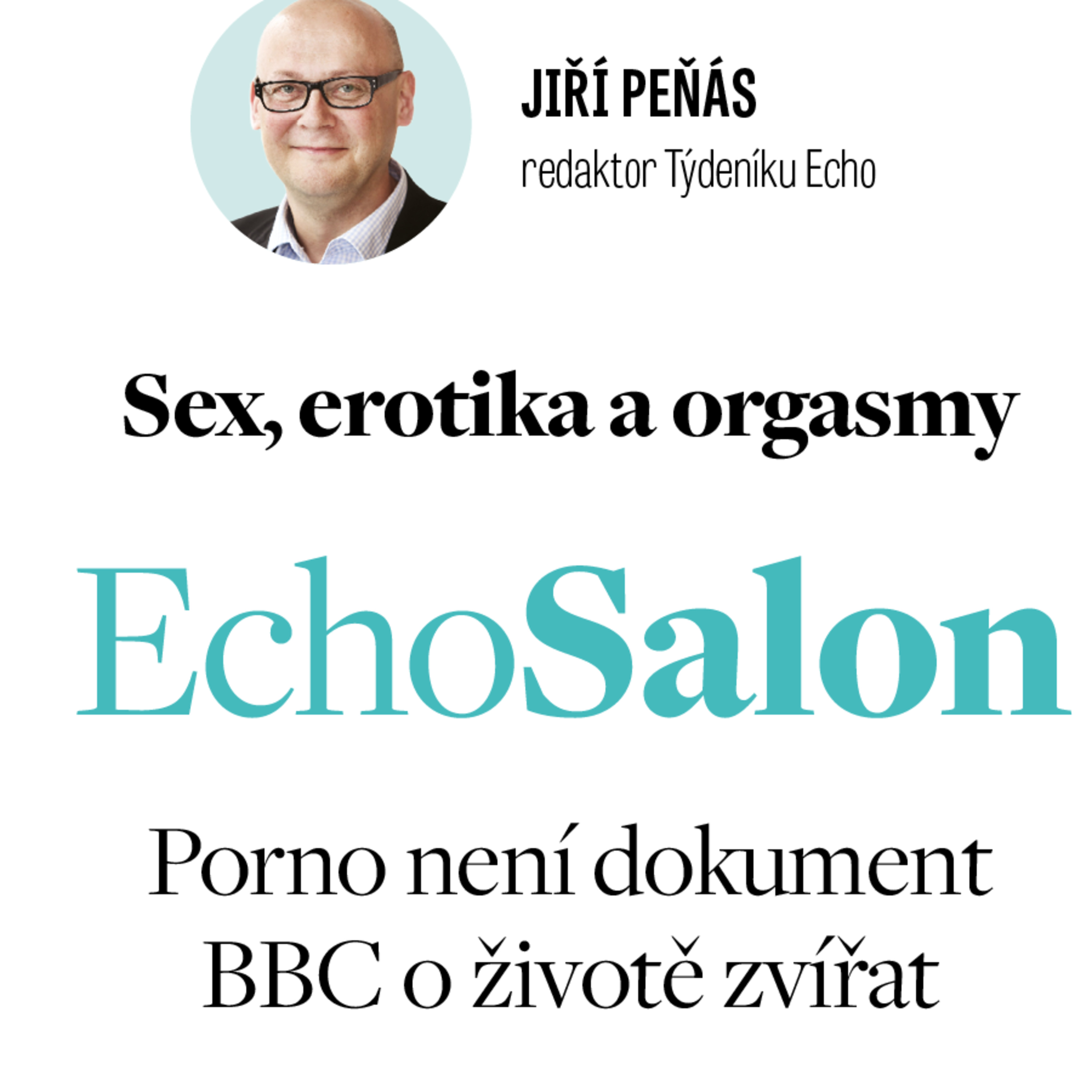 Porno není dokument BBC o životě zvířat. Julie Gaia Poupětová, Klára Elšíková a Petr Weiss v Salonu episode artwork