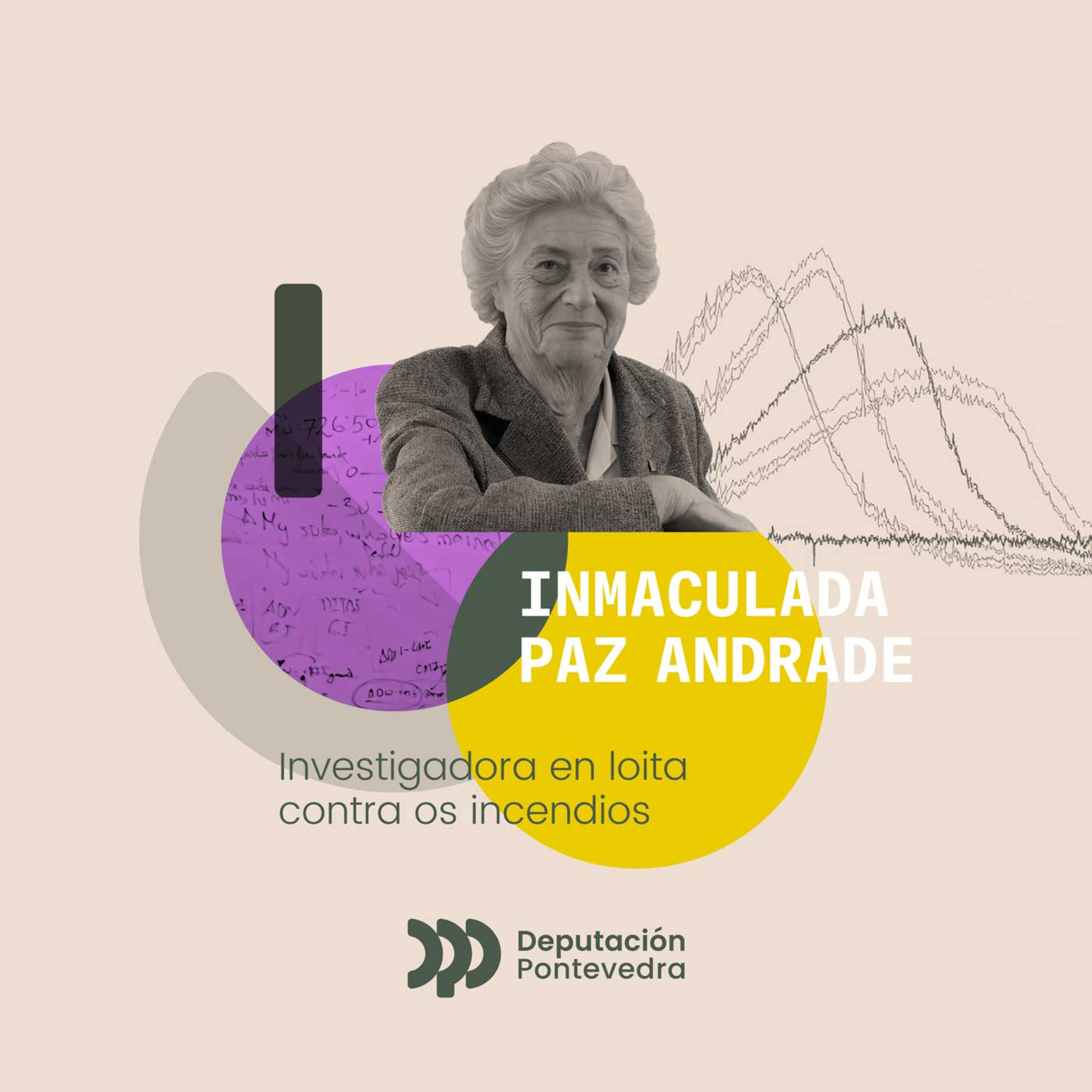 Aquí faltan páxinas