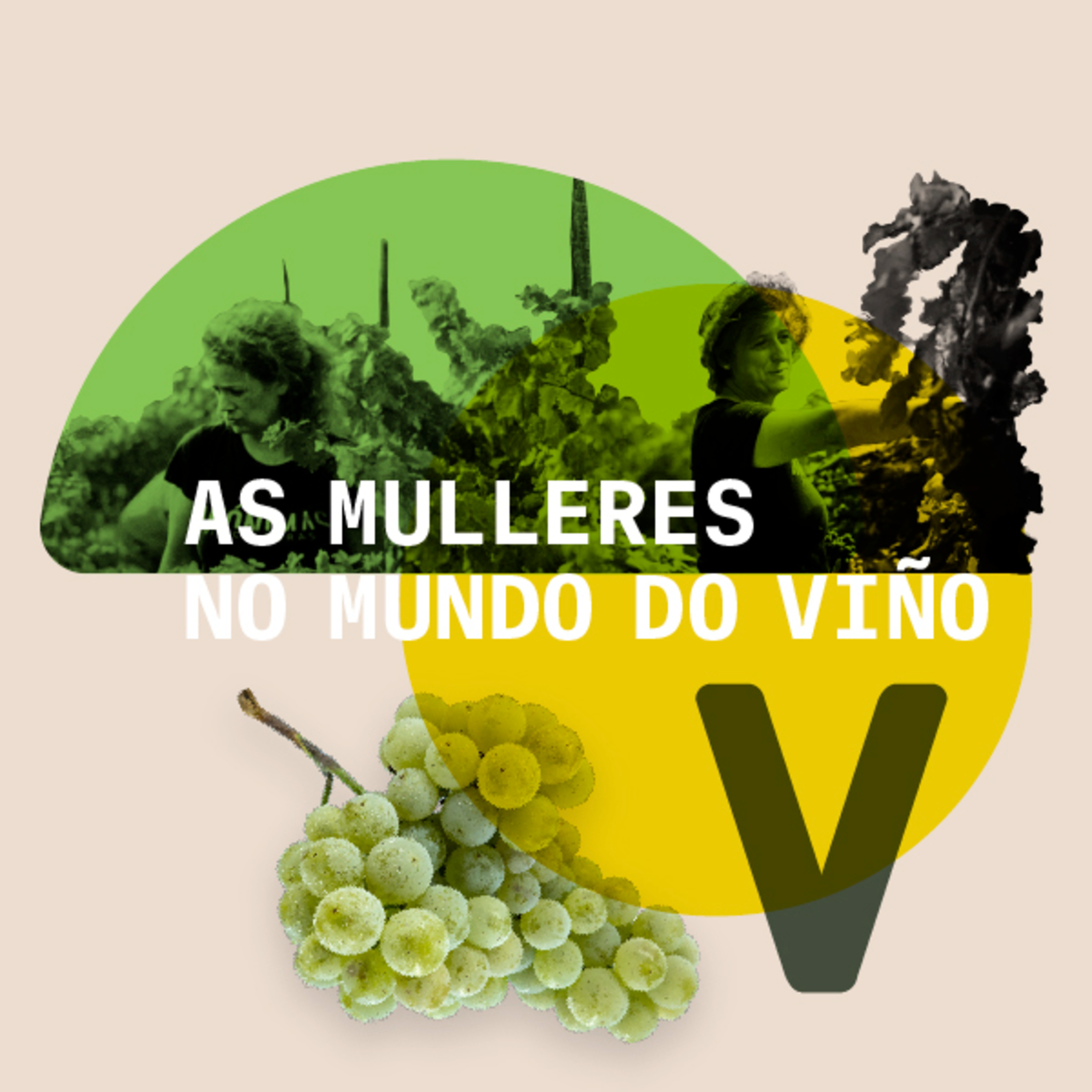 AS MULLERES NO MUNDO DO VIÑO Abrirse camiño reivindicando territorio e identidade episode artwork