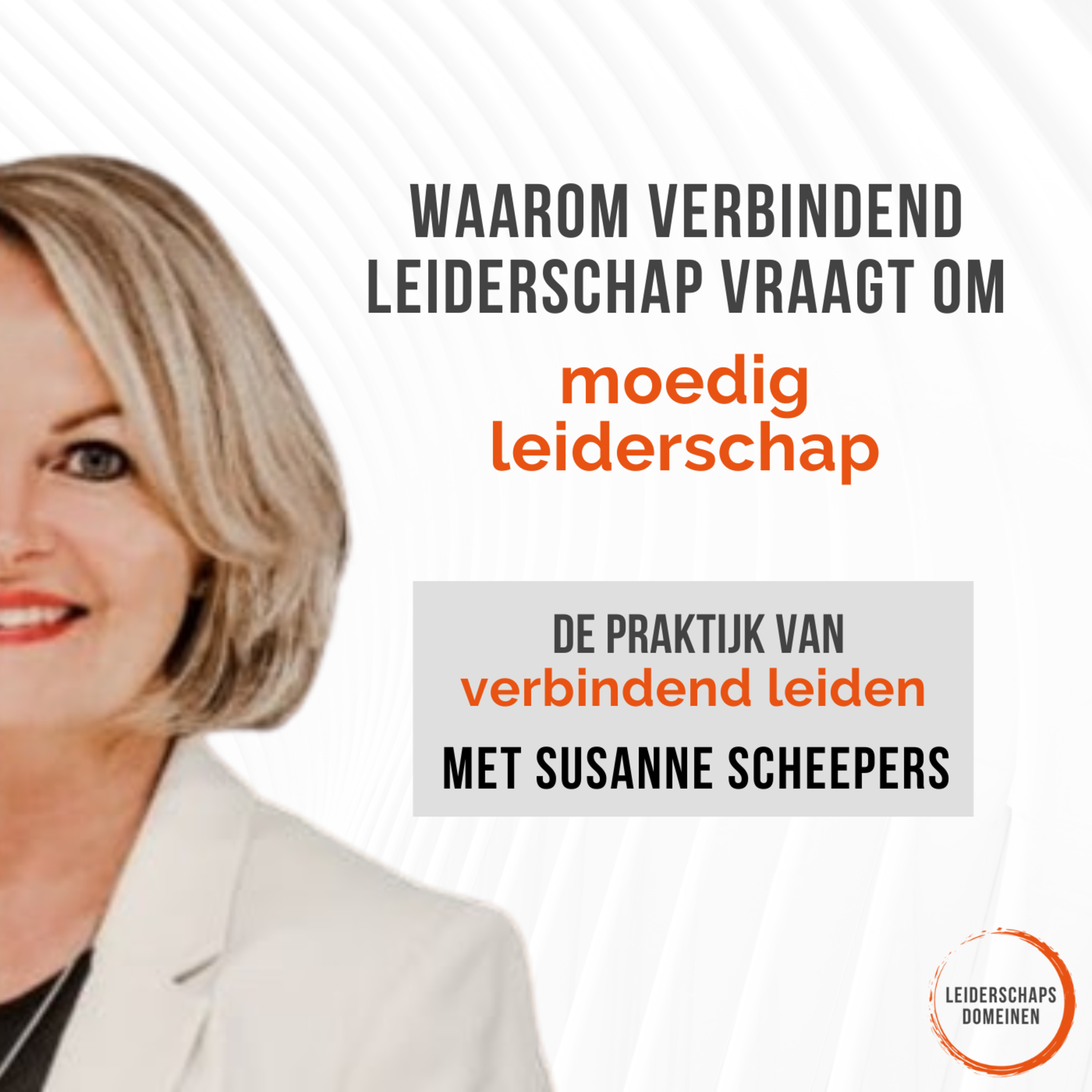 De Praktijk van Verbindend Leiden van Leiderschapsdomeinen