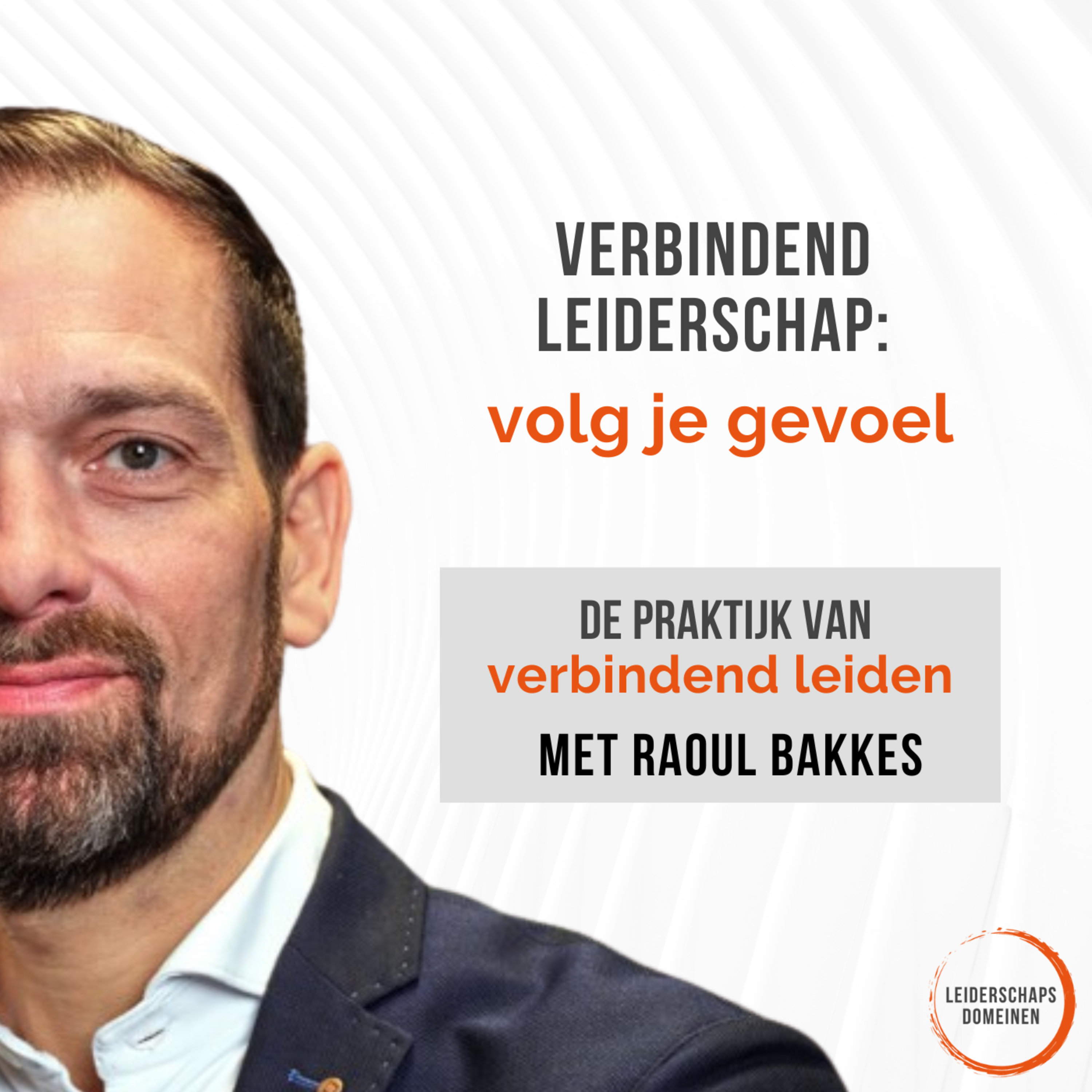 De Praktijk van Verbindend Leiden van Leiderschapsdomeinen