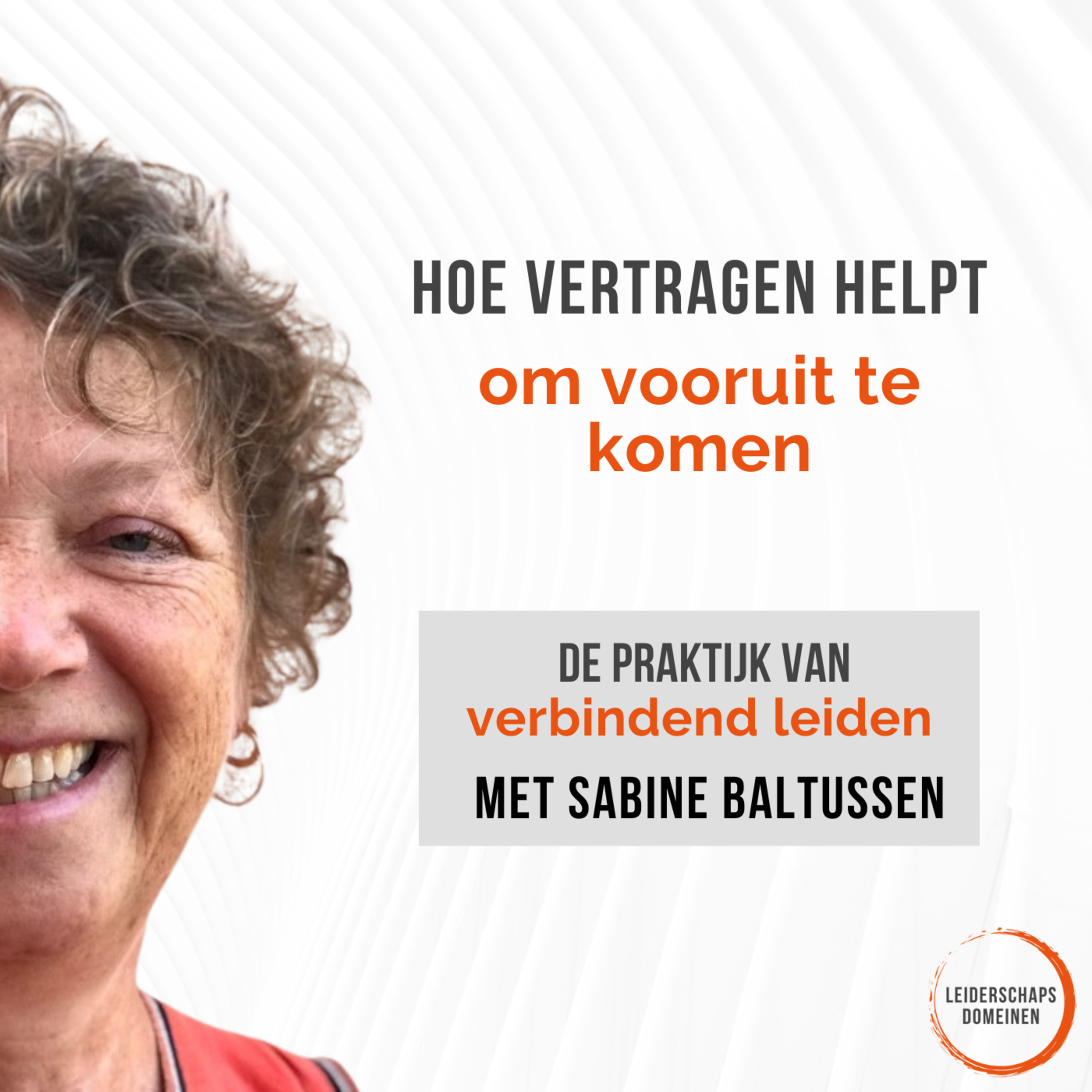 De Praktijk van Verbindend Leiden van Leiderschapsdomeinen