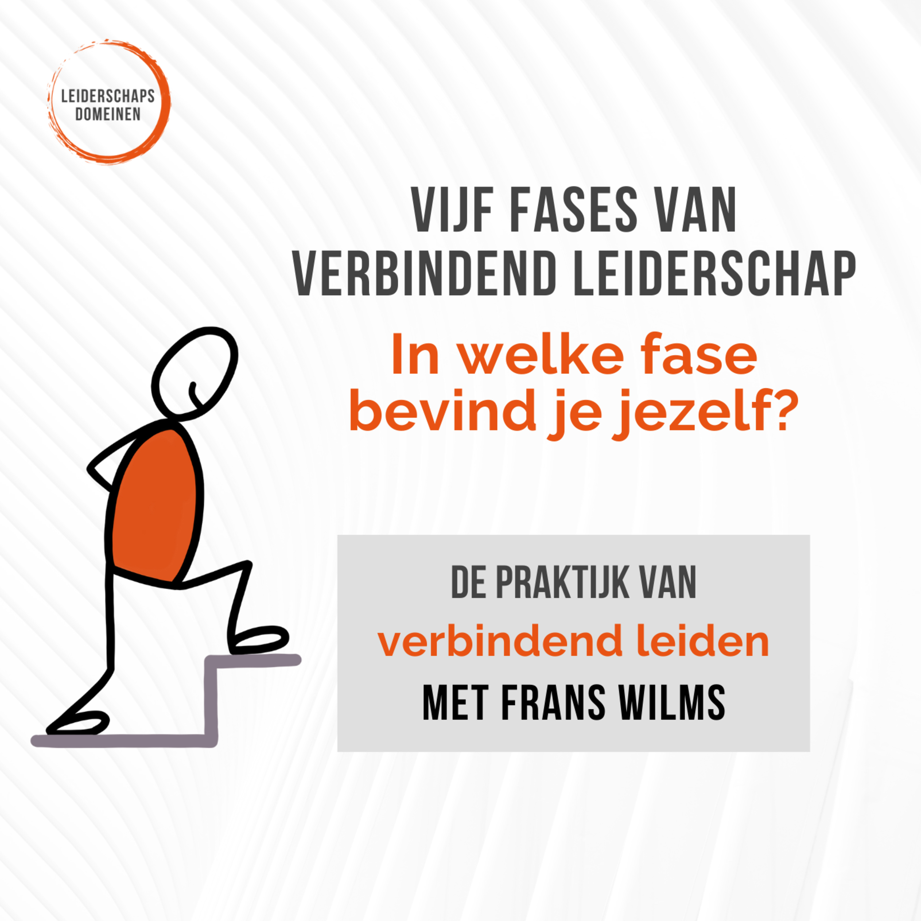 De Praktijk van Verbindend Leiden van Leiderschapsdomeinen