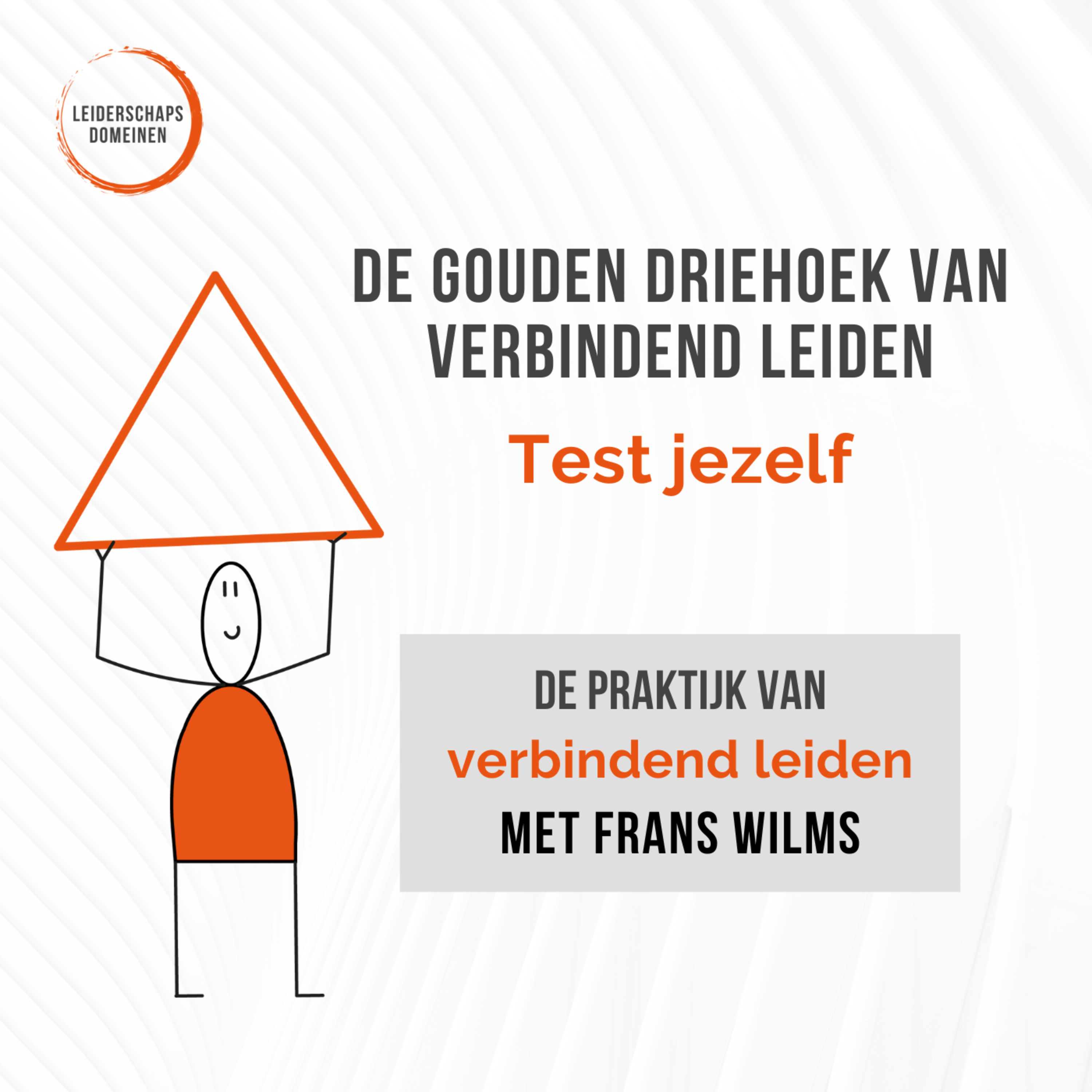 De Praktijk van Verbindend Leiden van Leiderschapsdomeinen
