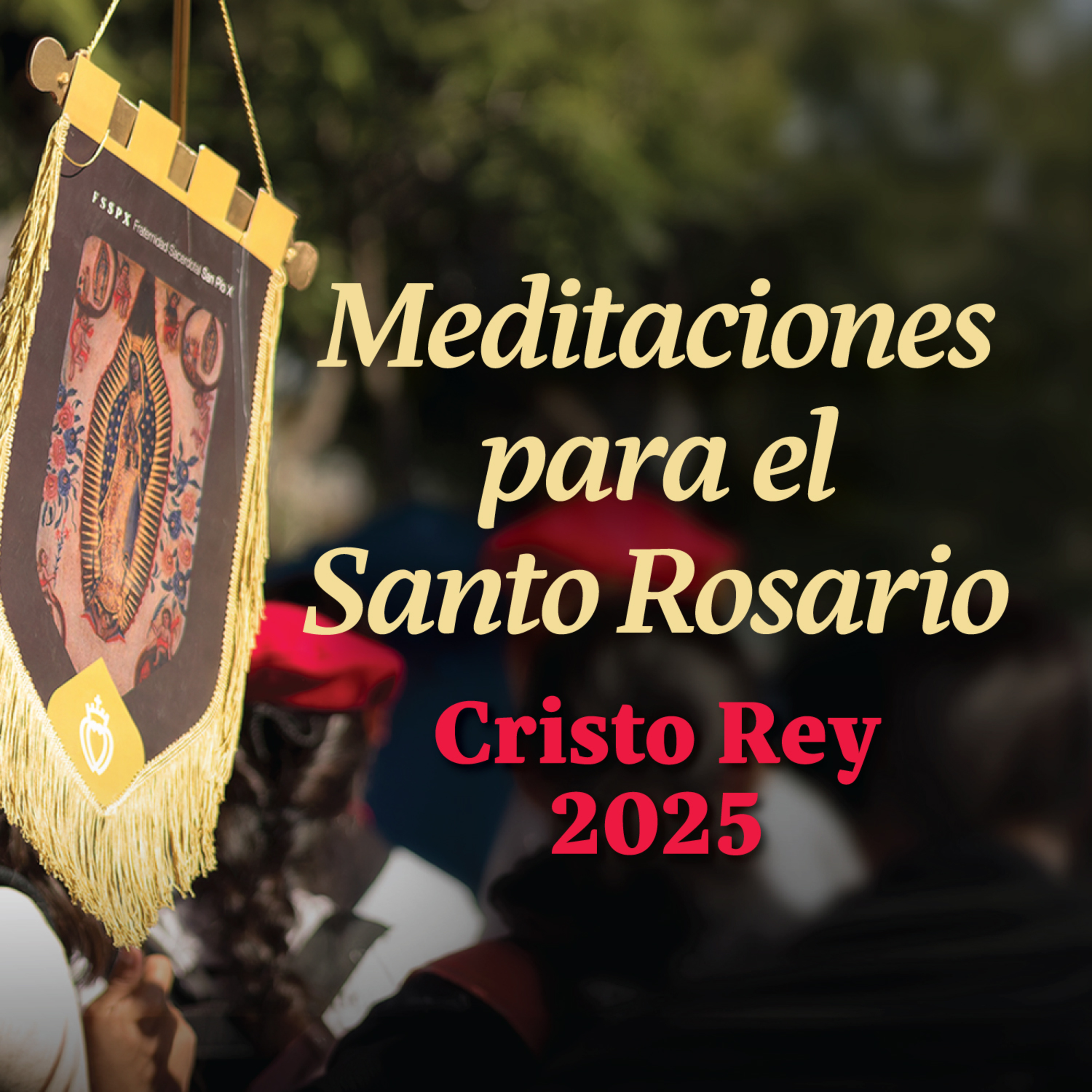 Portada de PODCAST FRATERNIDAD SACERDOTAL SAN PIO X DISTRITO MÉXICO