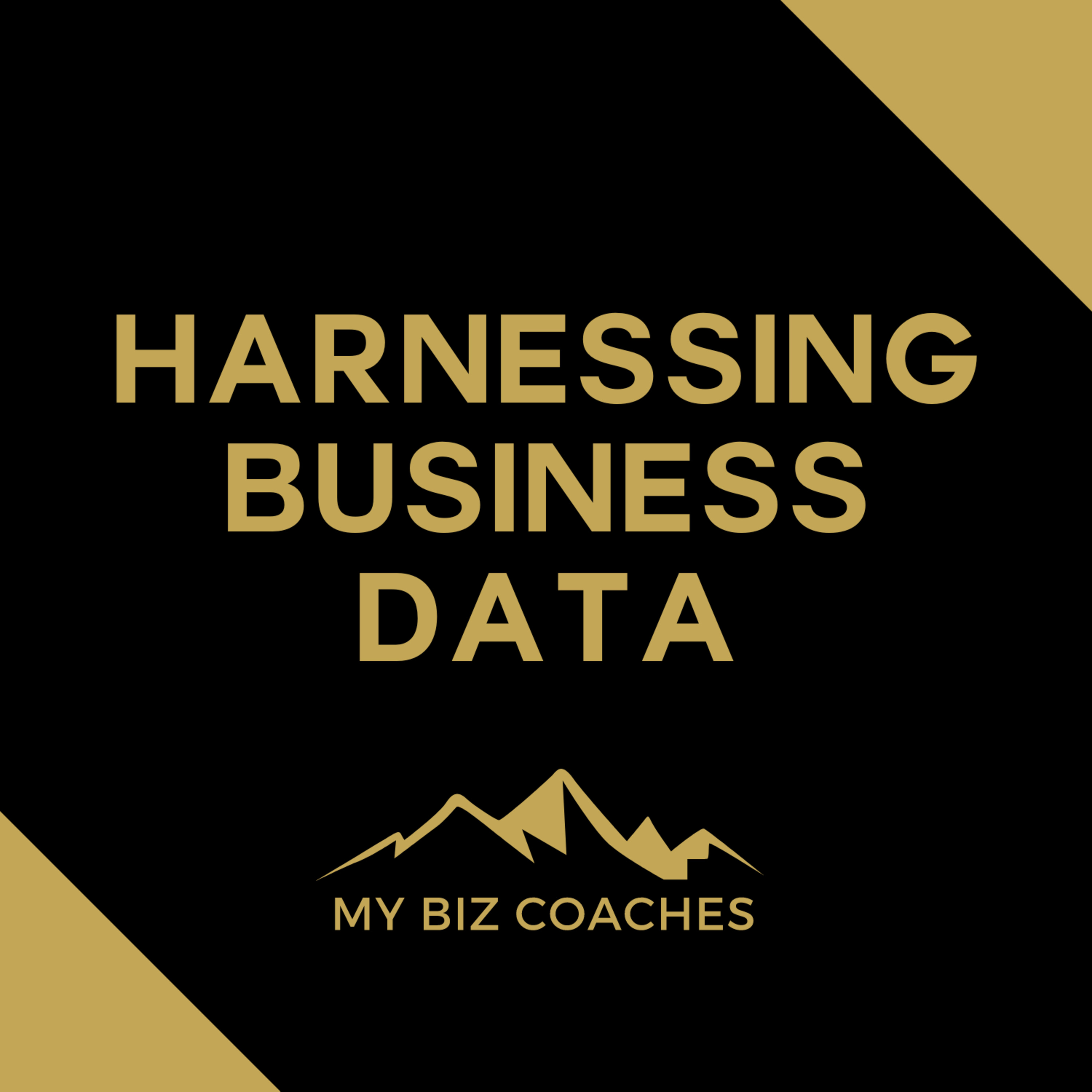 My Biz Coaches