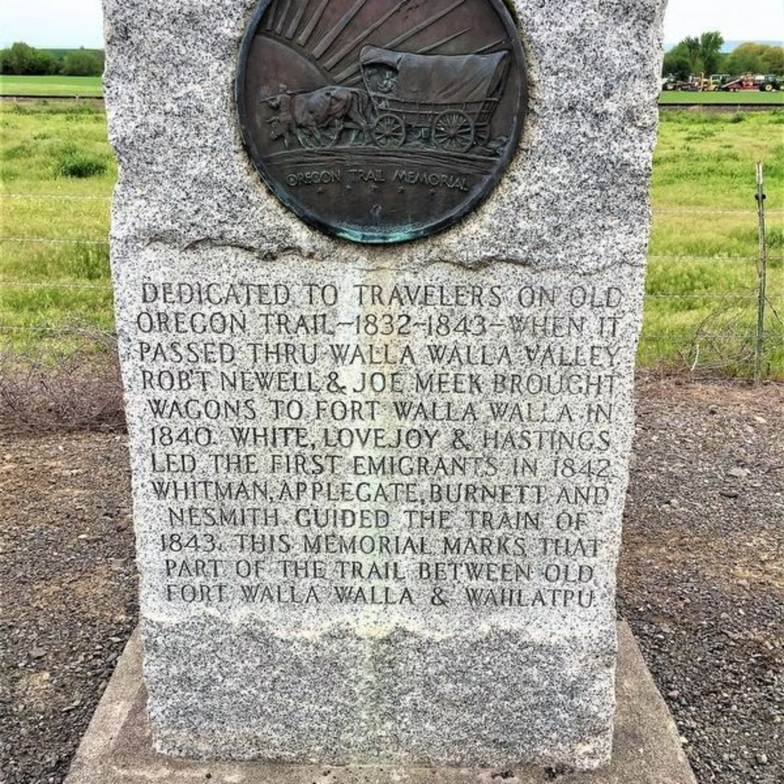 Rural Route Radio March 11, 2024 Hank Vogler just can't figure why Common Sense is truly the Endangered Species among US.