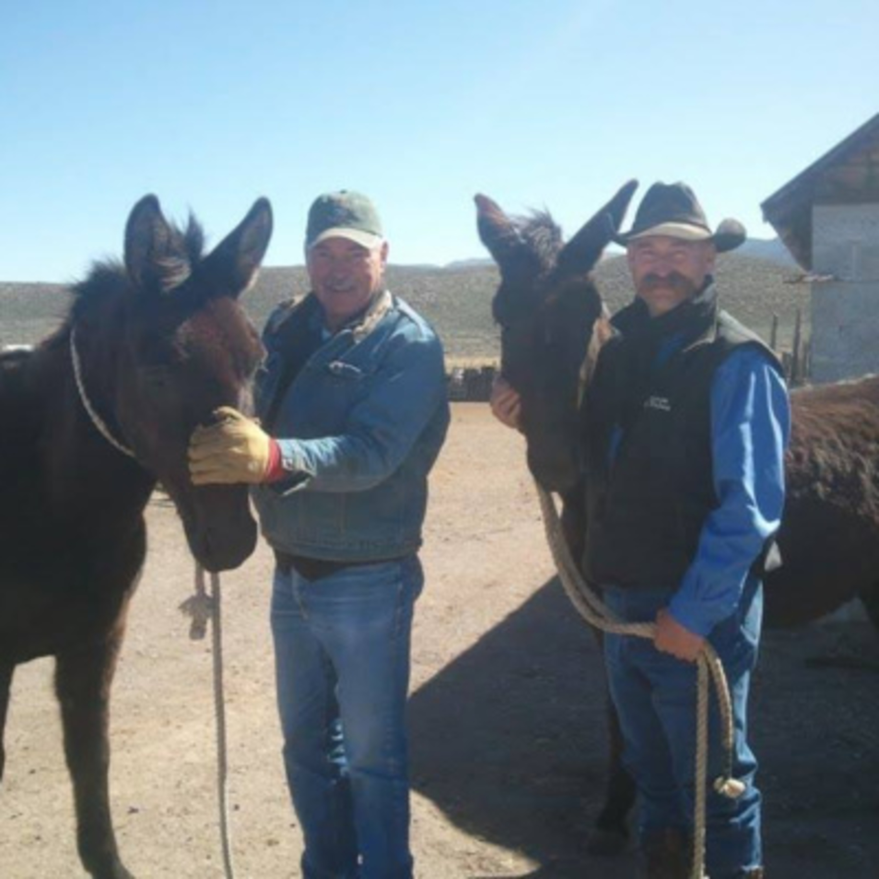 Rural Route Radio Dec 30, 2024 Hank Vogler has been contacted by the Trump Team about labor.