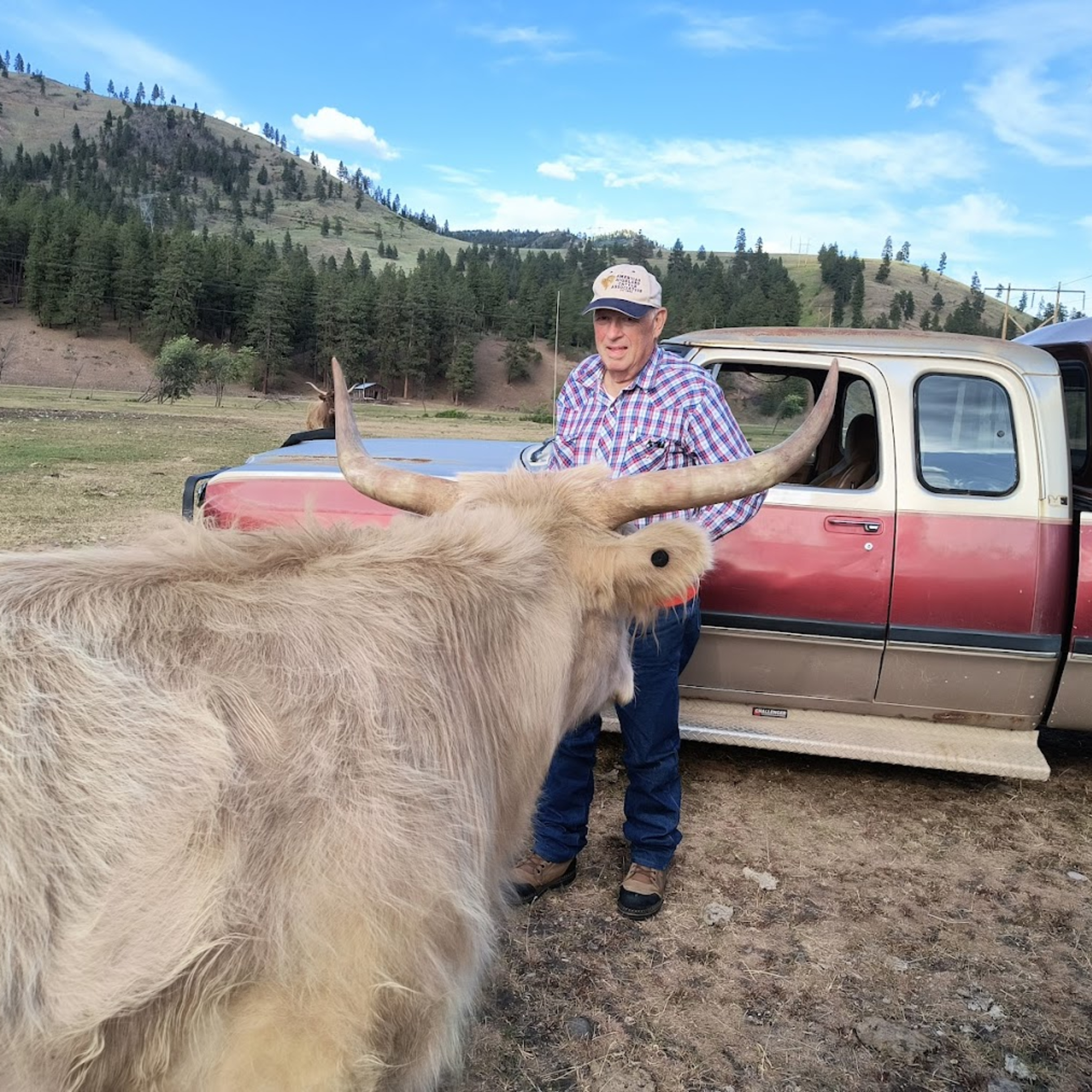 Rural Route June 19, 2025 Wally Congdon with a conversation about the future of beef production you don't get anywhere else.
