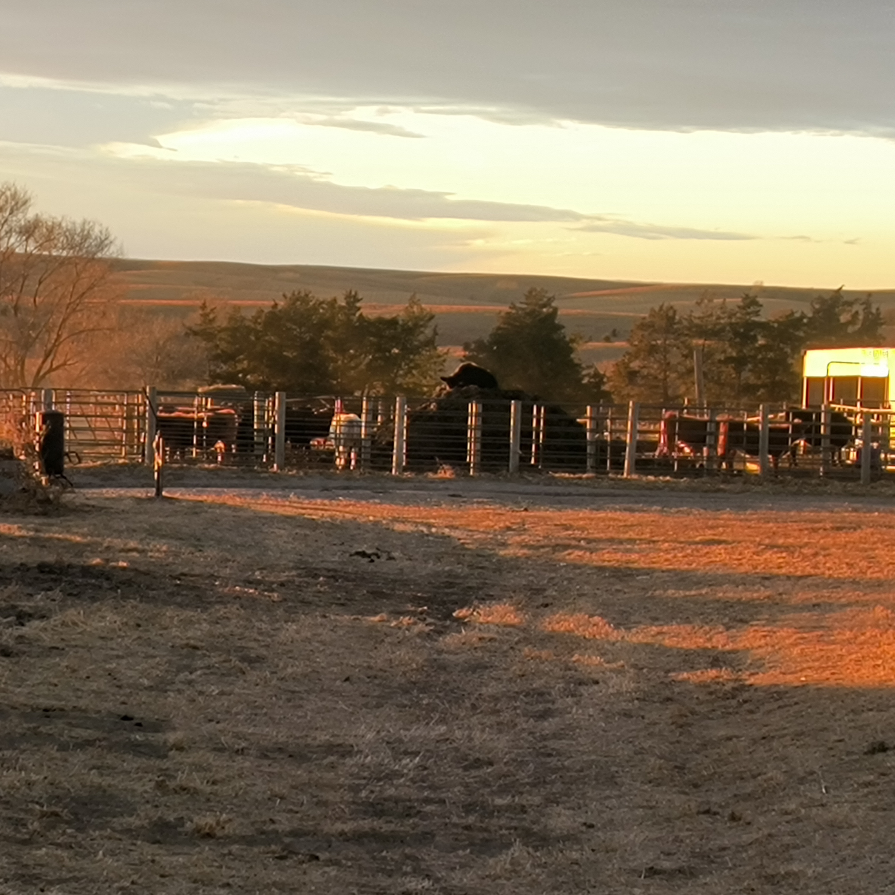 #Nebraska 2 Minute Warning it is going to be abnormally warm this week, is that a direct cause of Climate Change? Well not if your history is worth its salt.