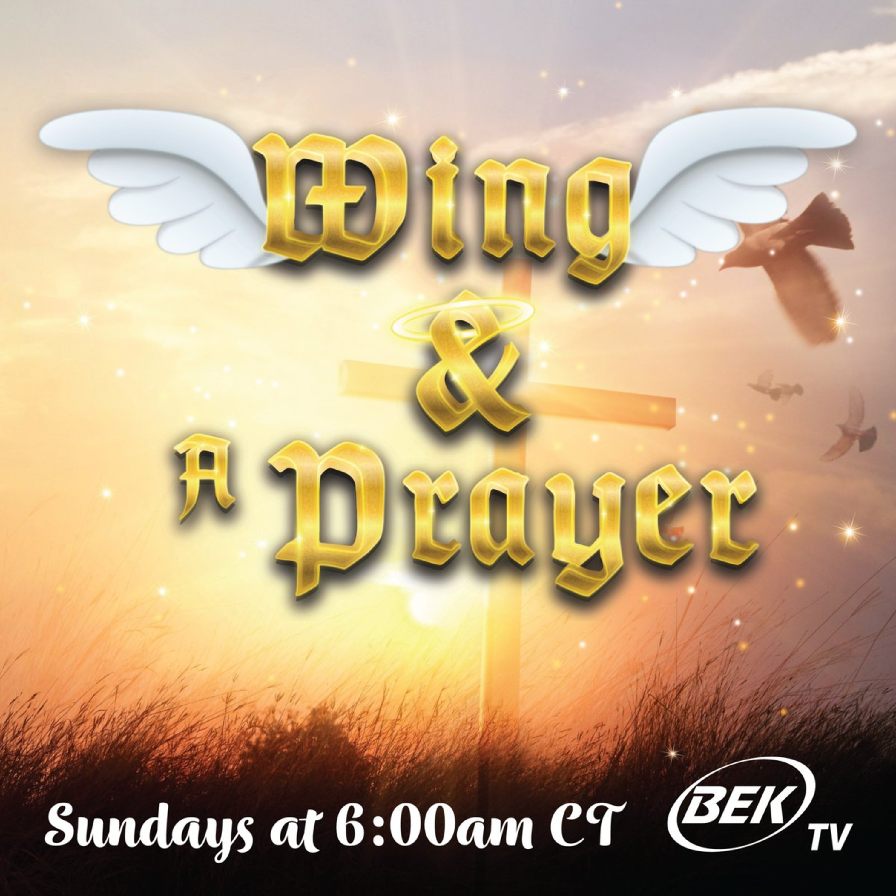 Wing and a Prayer Aug 16, 2026 Holly Roe joins to discuss Christian Apologetics. episode artwork